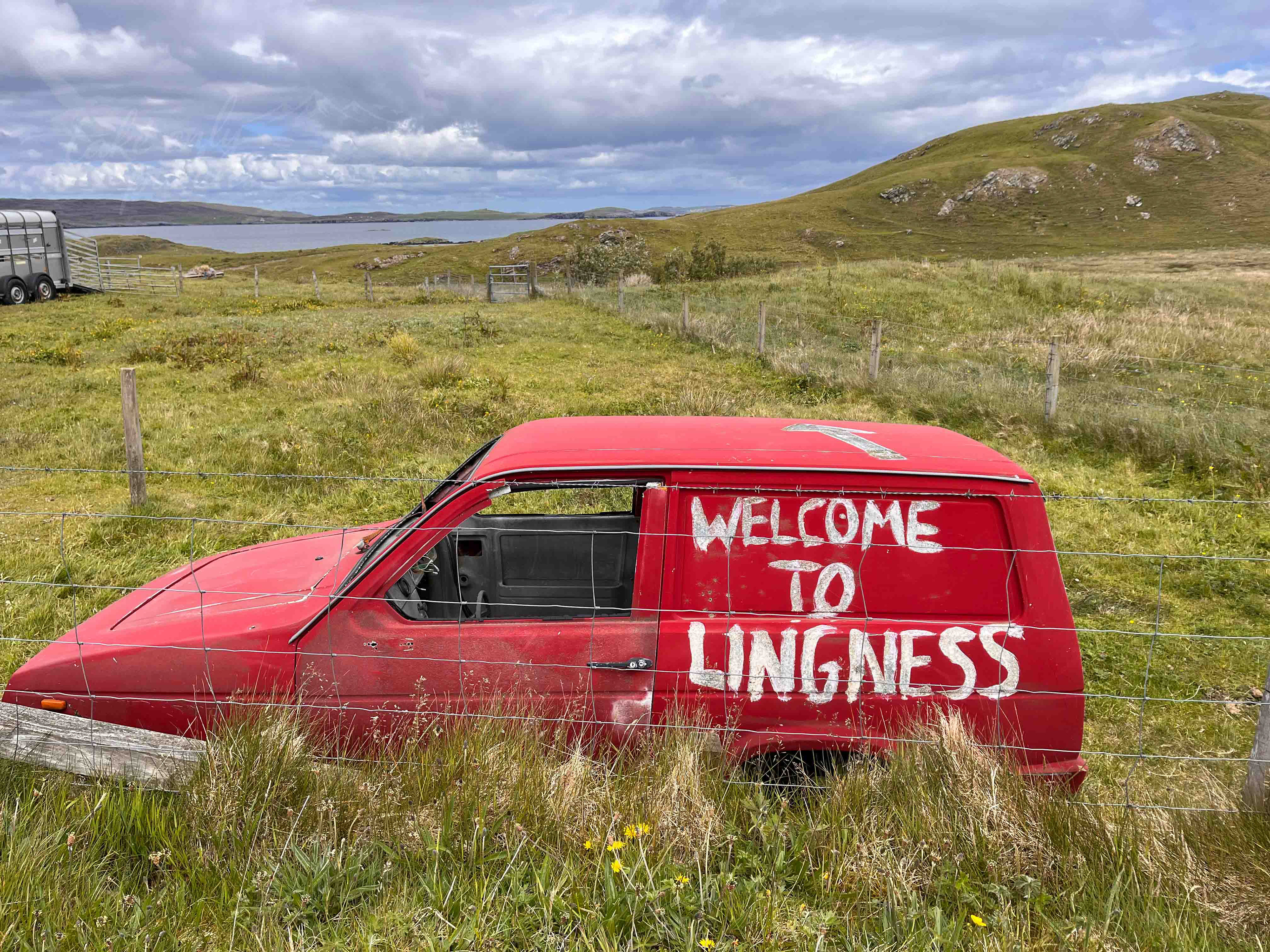 Welcome to Lingness - Mainland