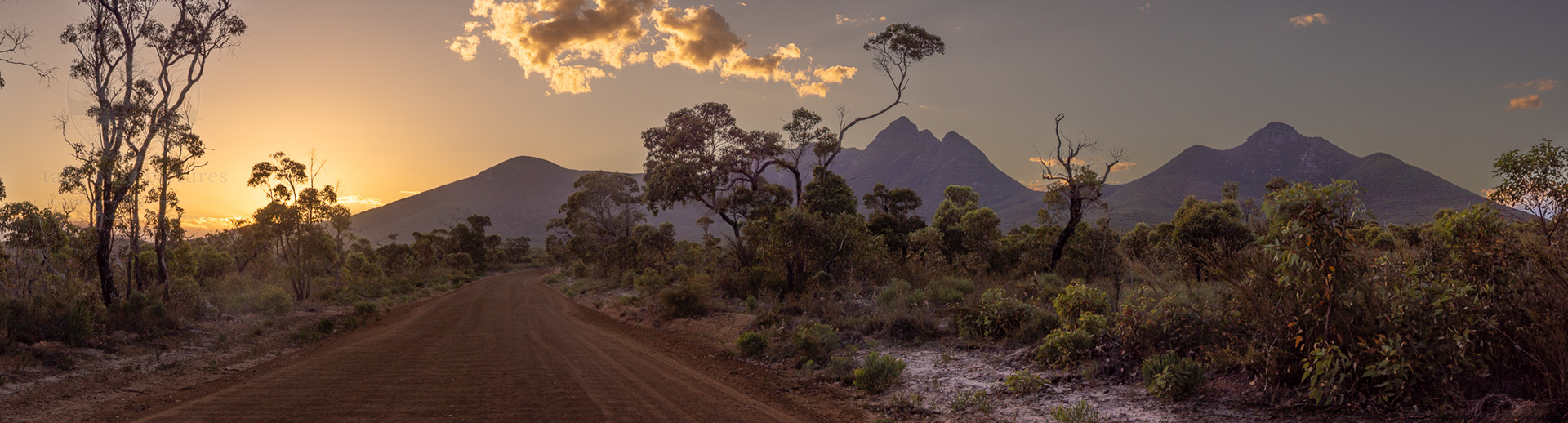 Mount Toolbrunup, Stirling Ranges National Park, WA