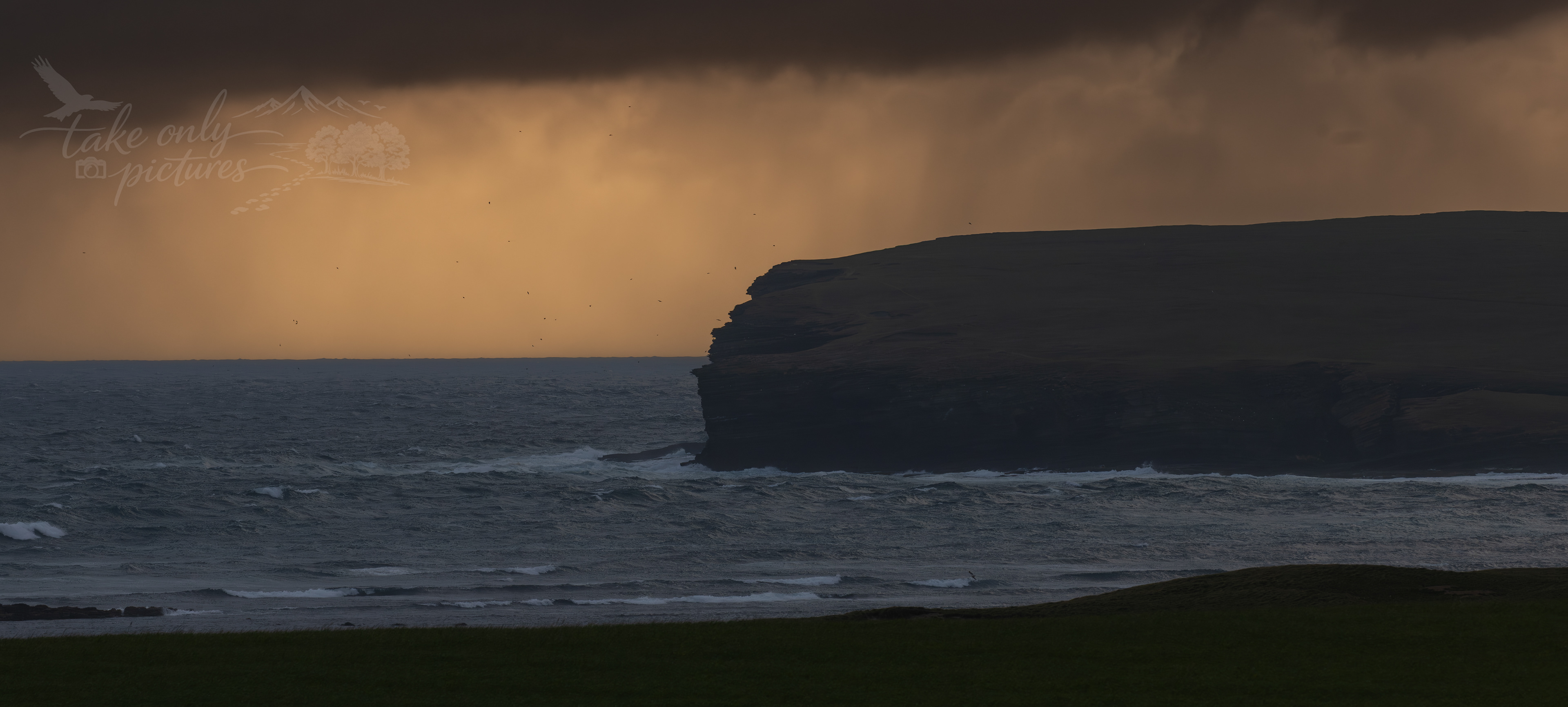Brough of Birsay, Orkney