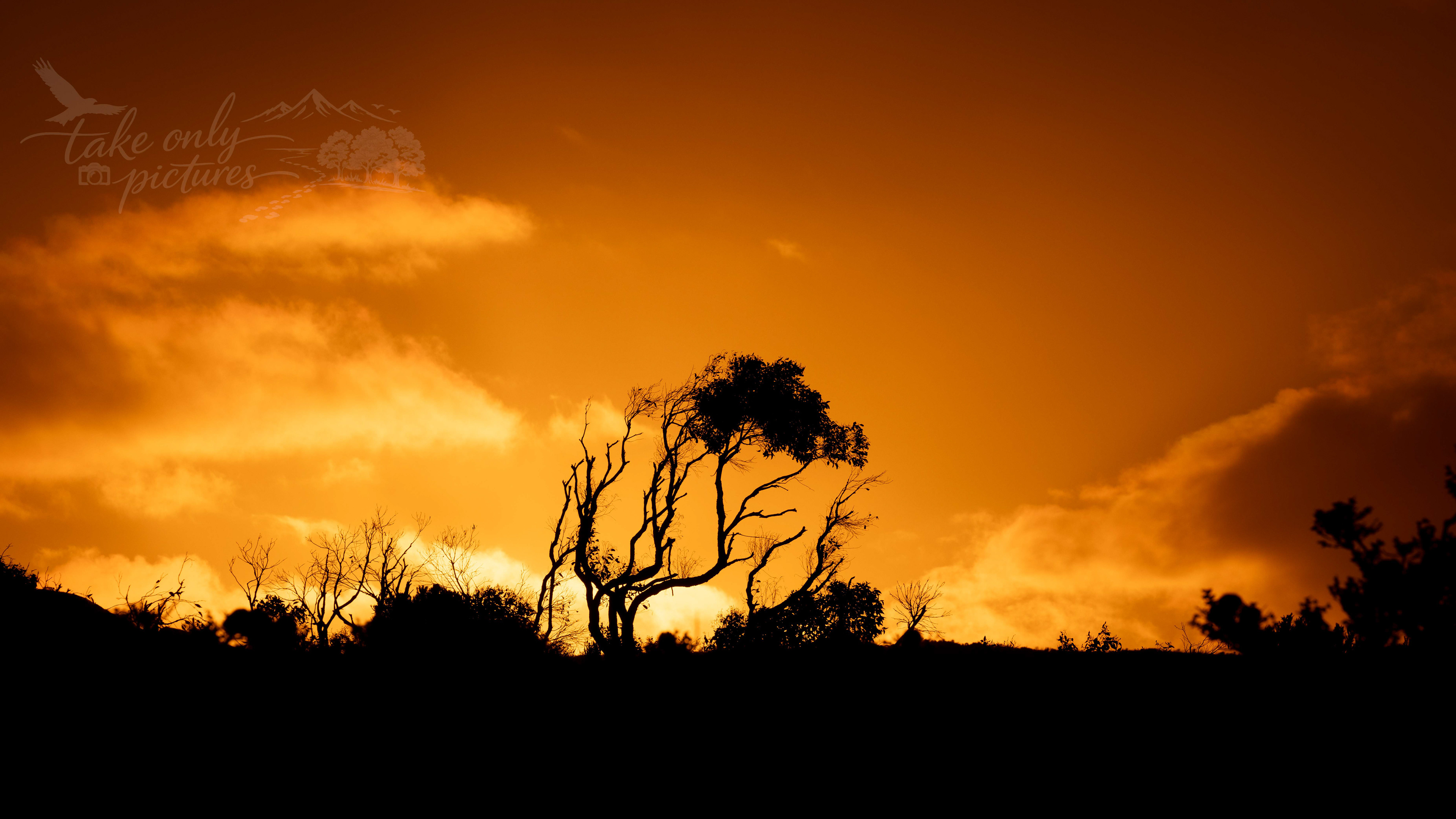 Sunset, Cheynes Beach, WA