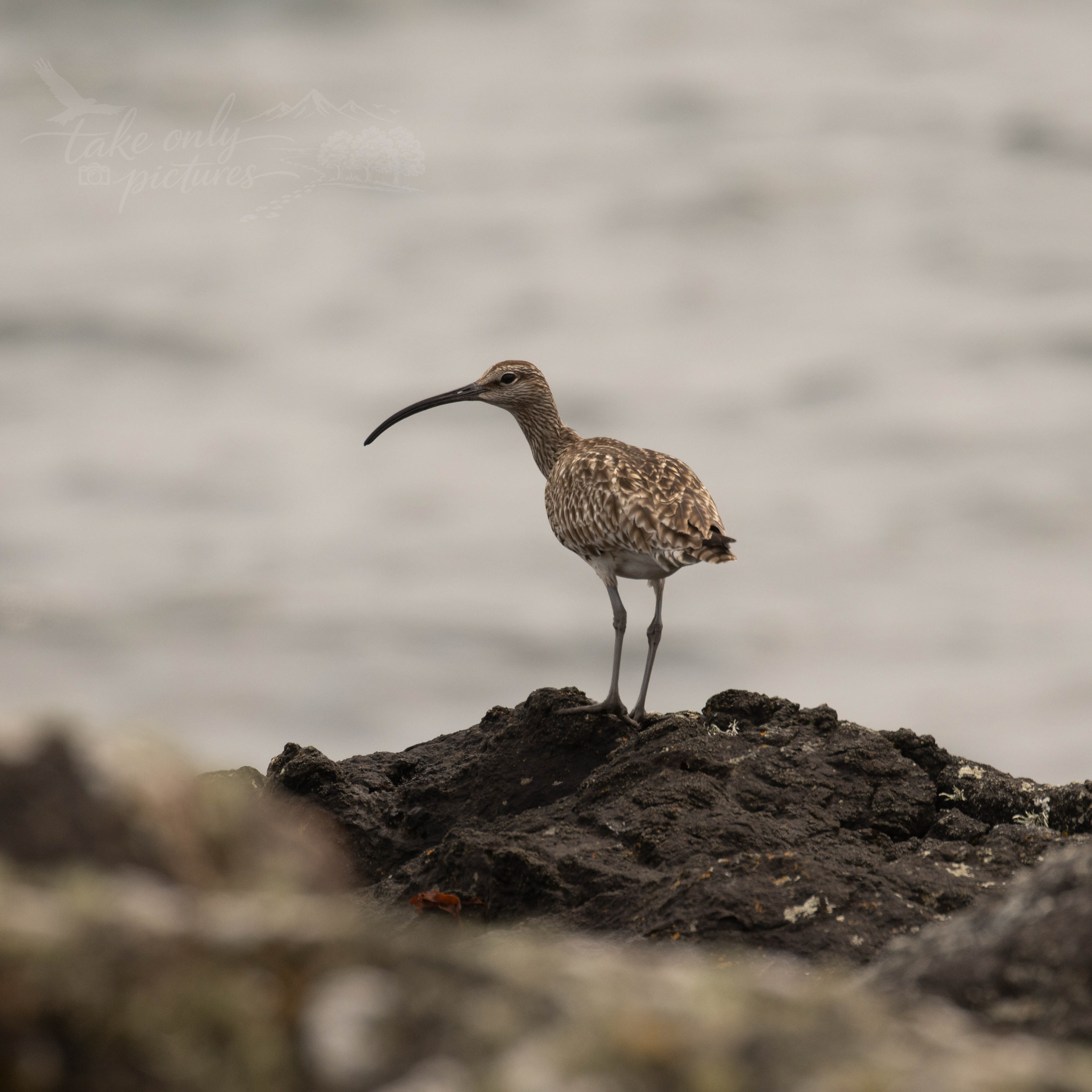 Wimbrell - Sand Wick, Unst