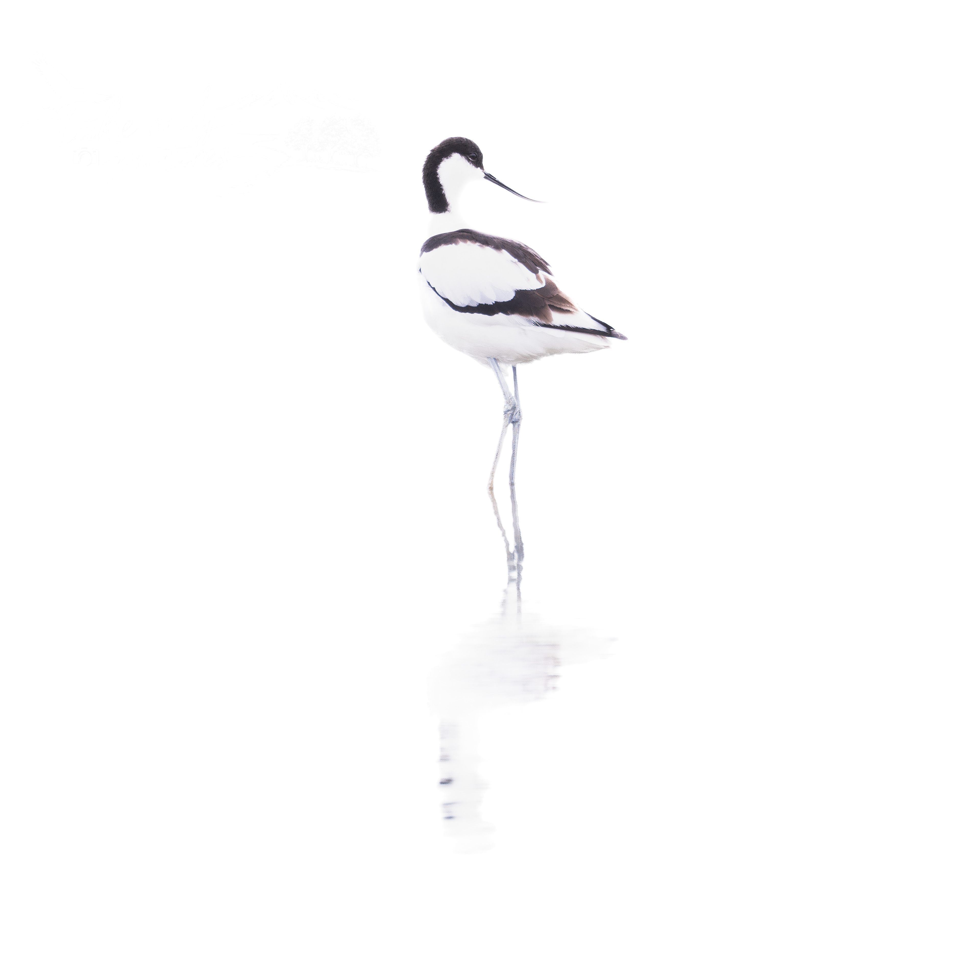 Avocent, Slimbridge, Gloucestershire