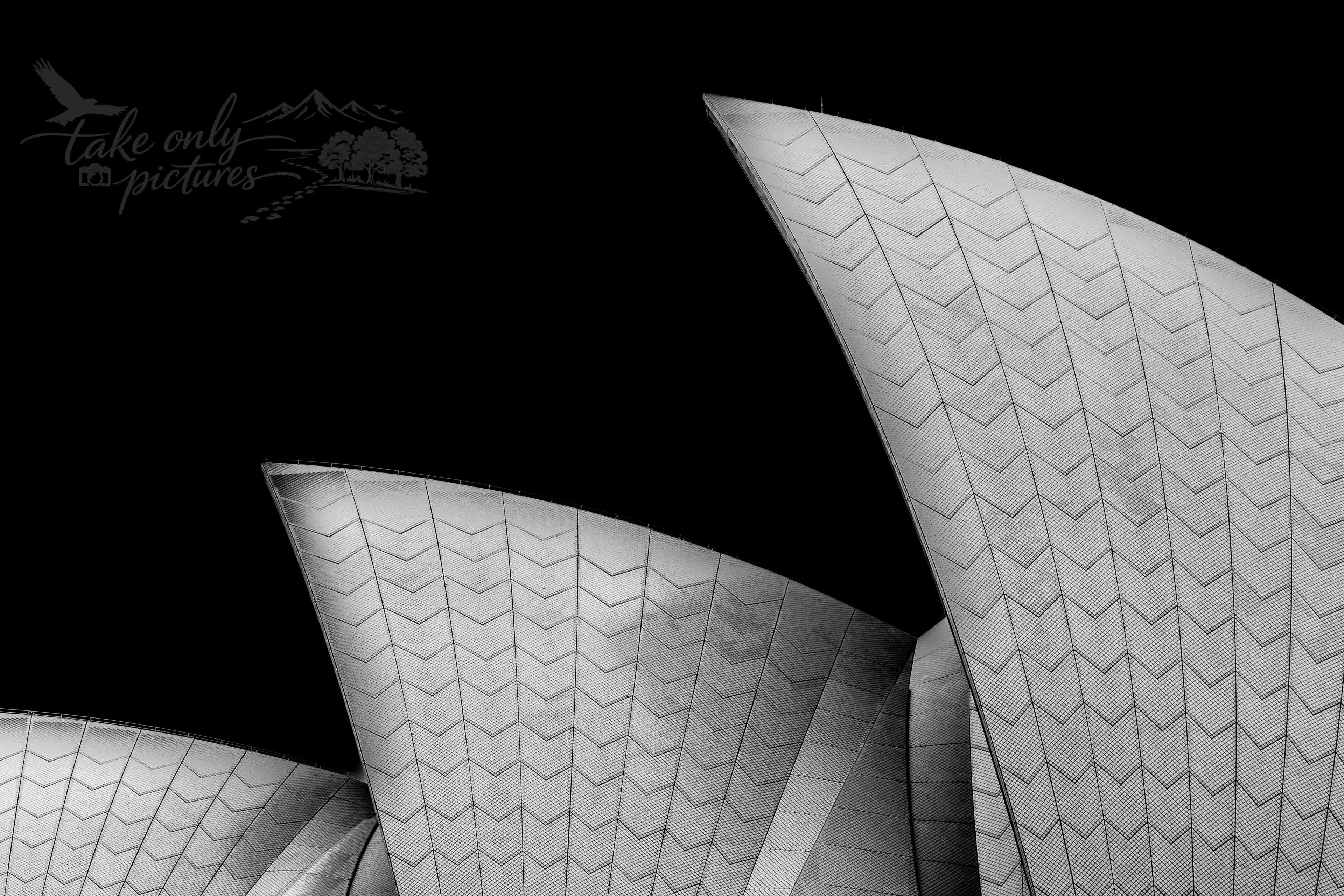 "Humping Turtles", Circular Quay, Sydney, NSW