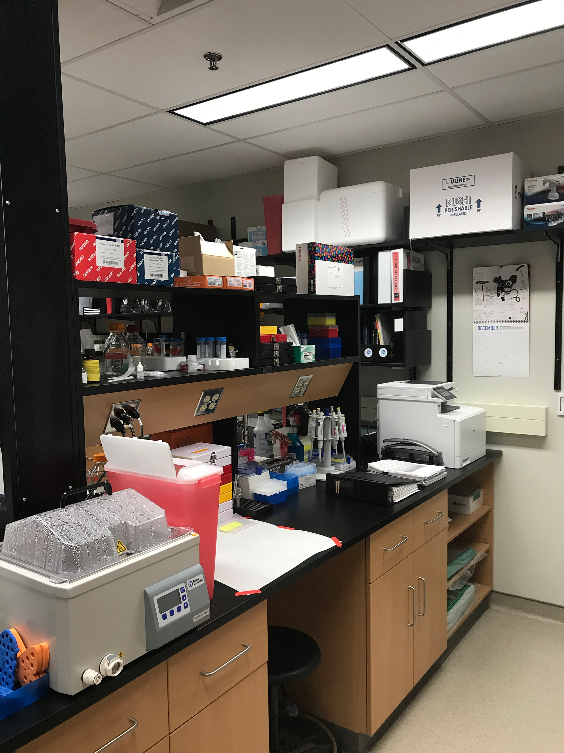 Lab Bench