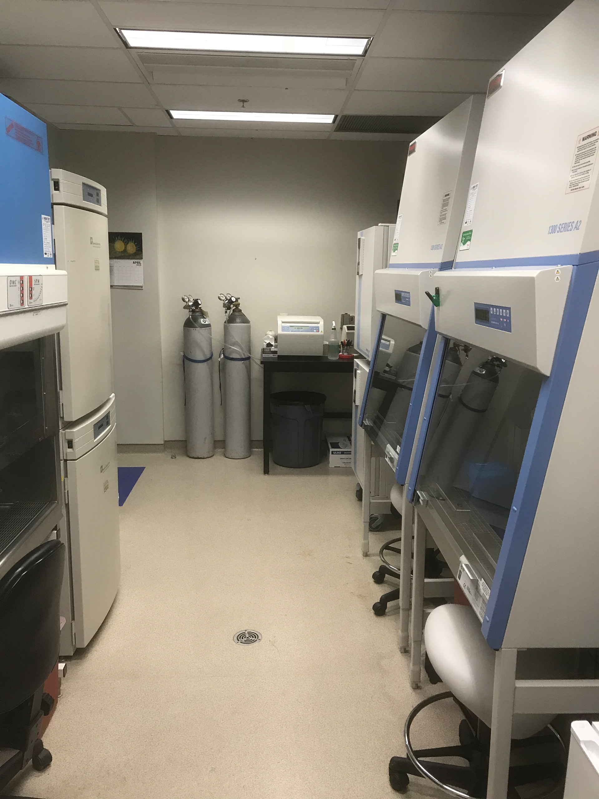 Lalonde Lab Cell Culture Room