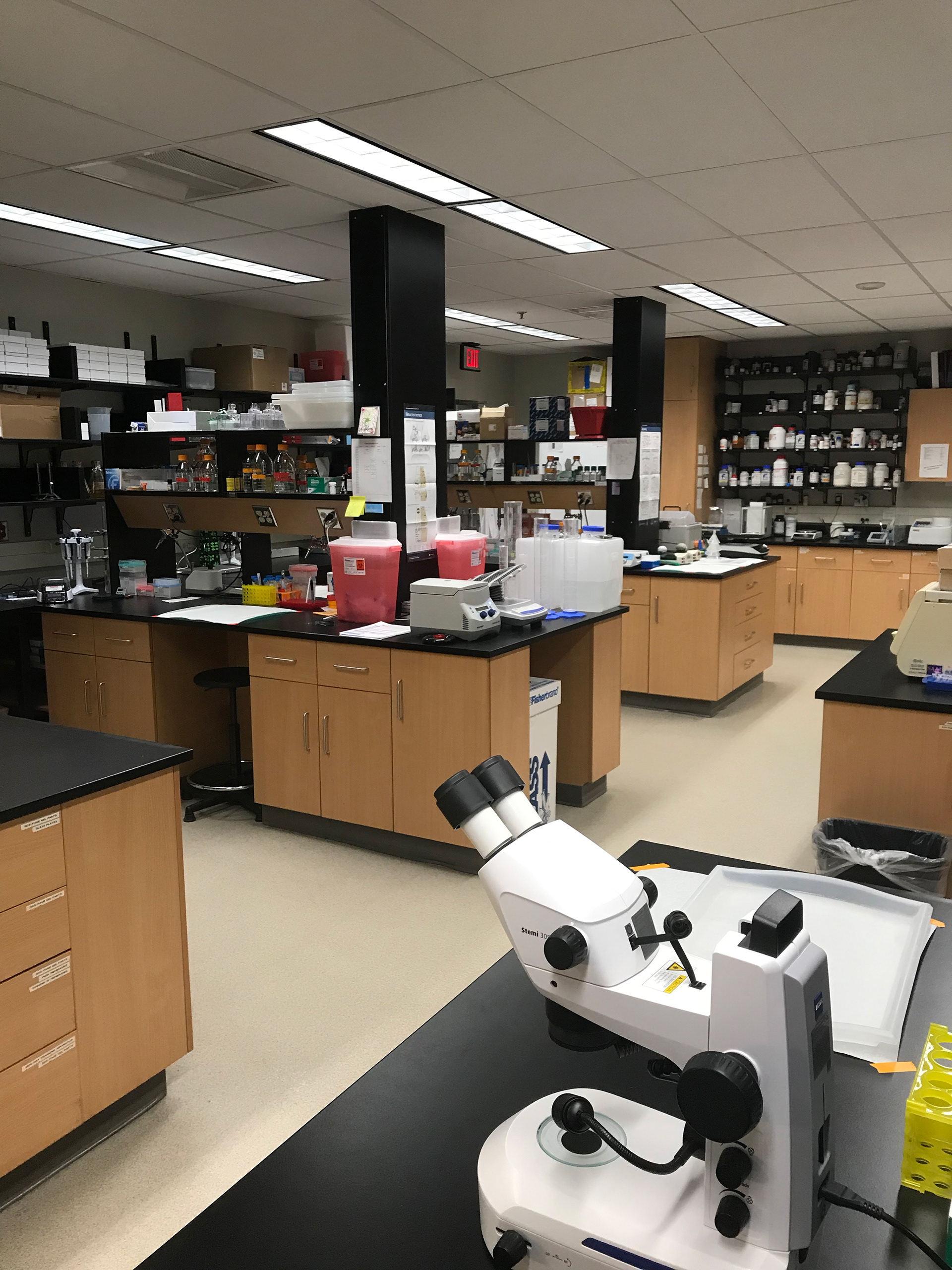 Benches & Dissection Area