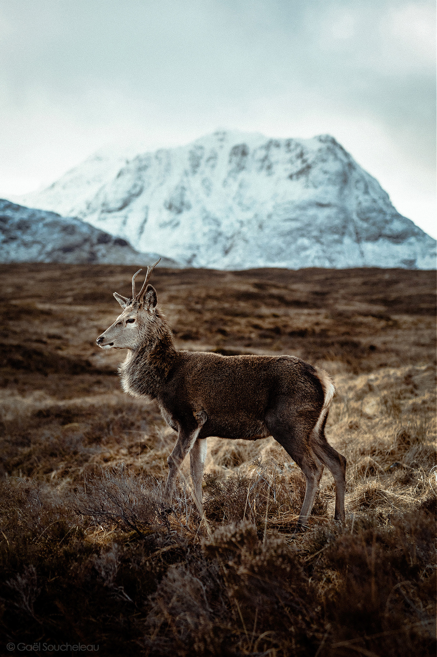 Scotland | 2019