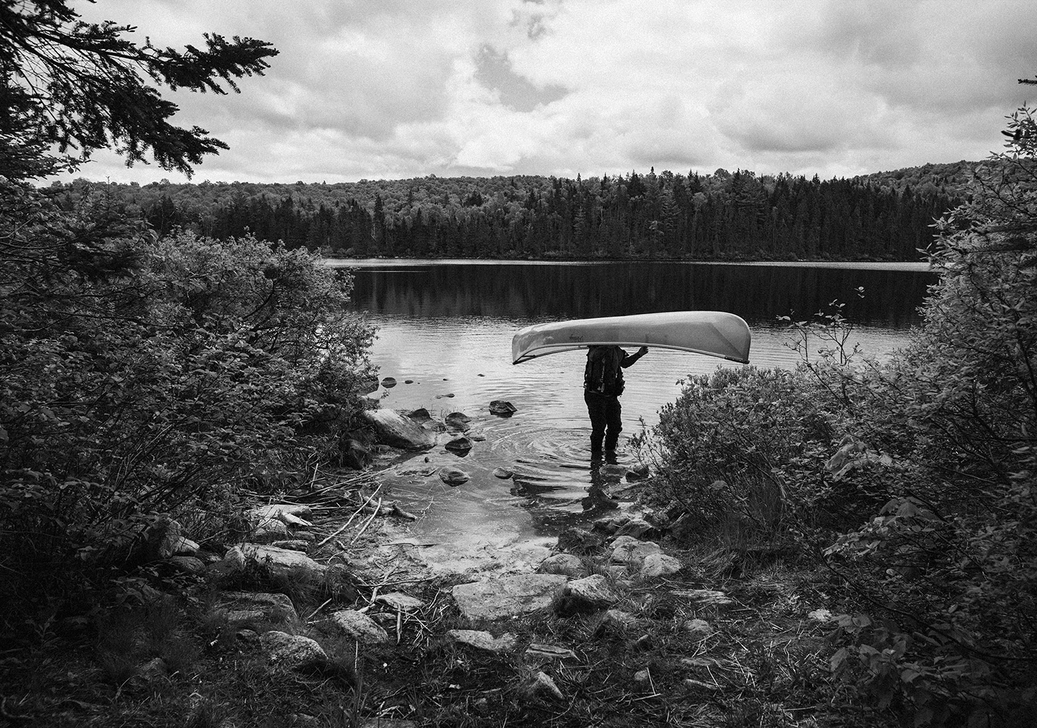Canada | 2019