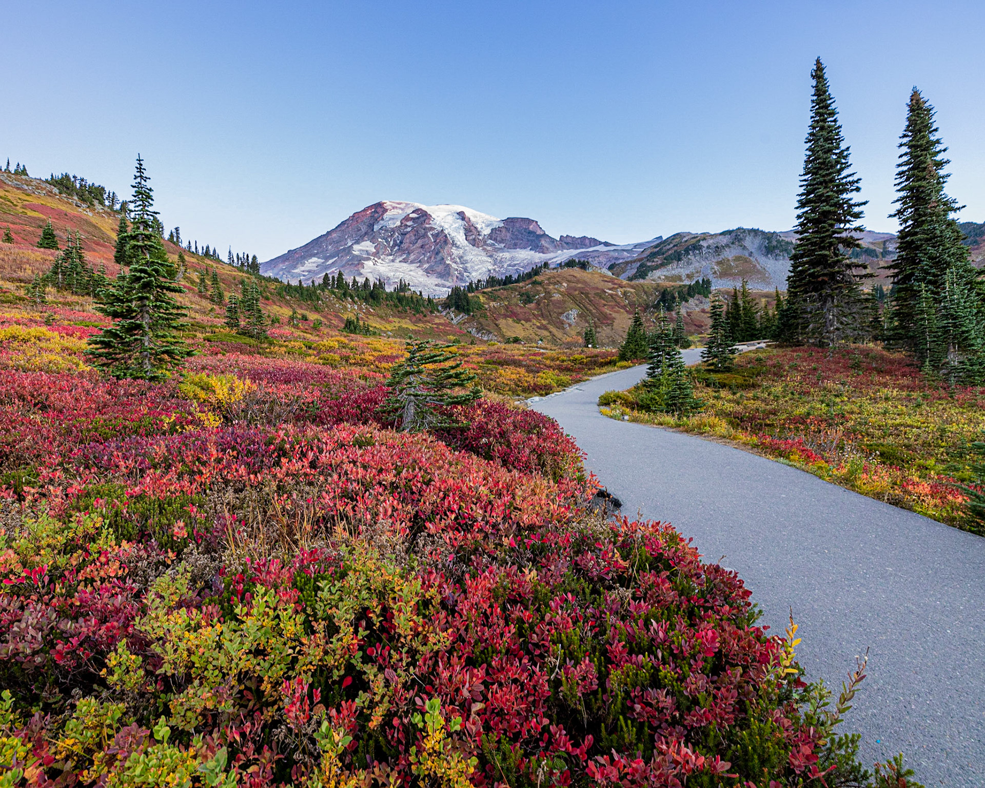 Fall Colors