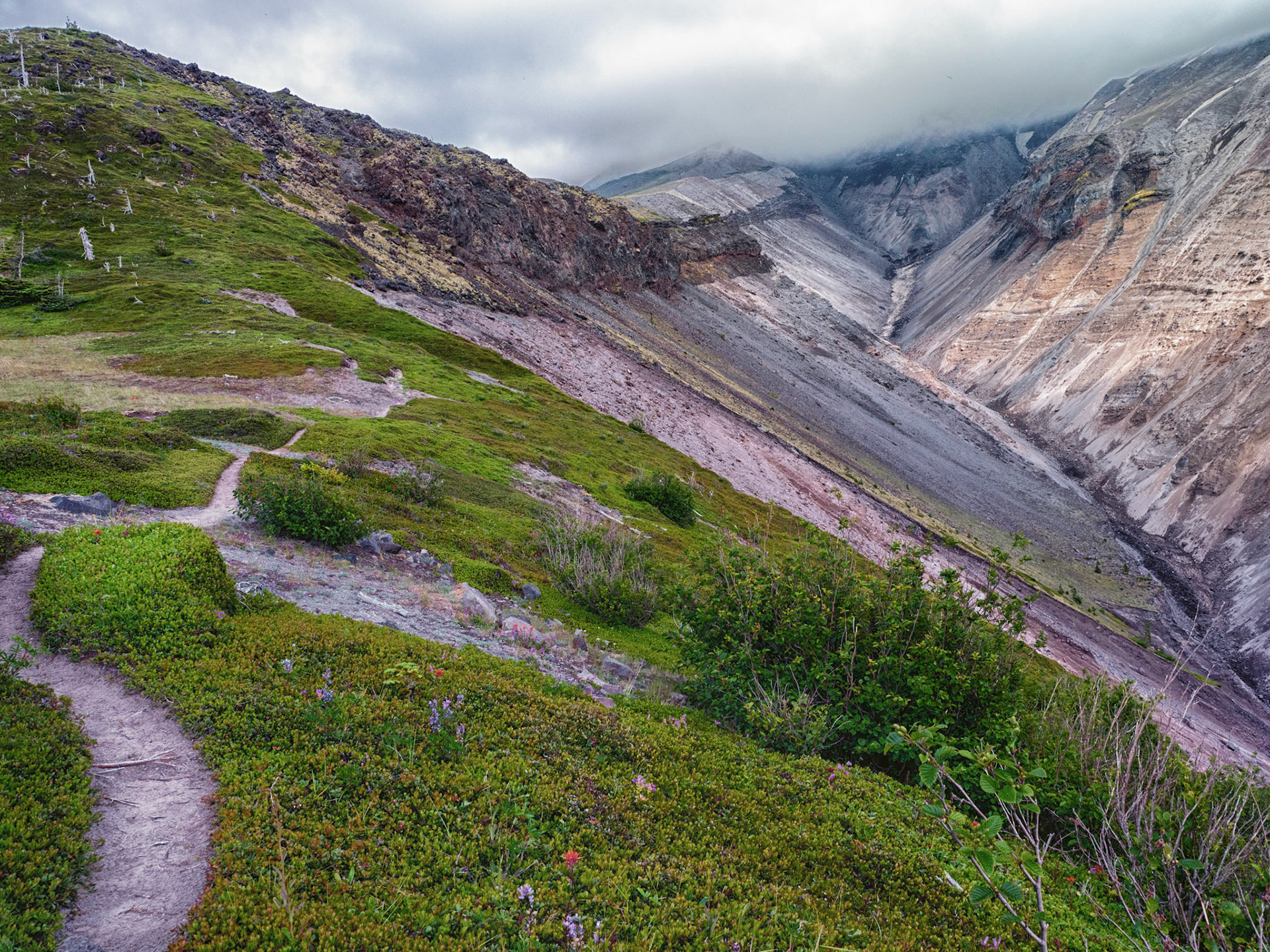 Toutle River Headwaters
