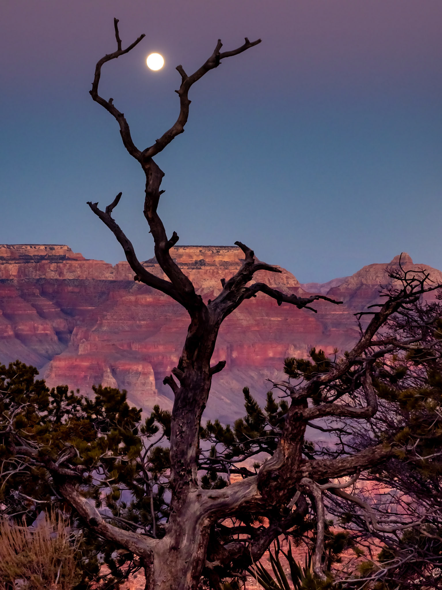 Moon in Sight Grand Canyon