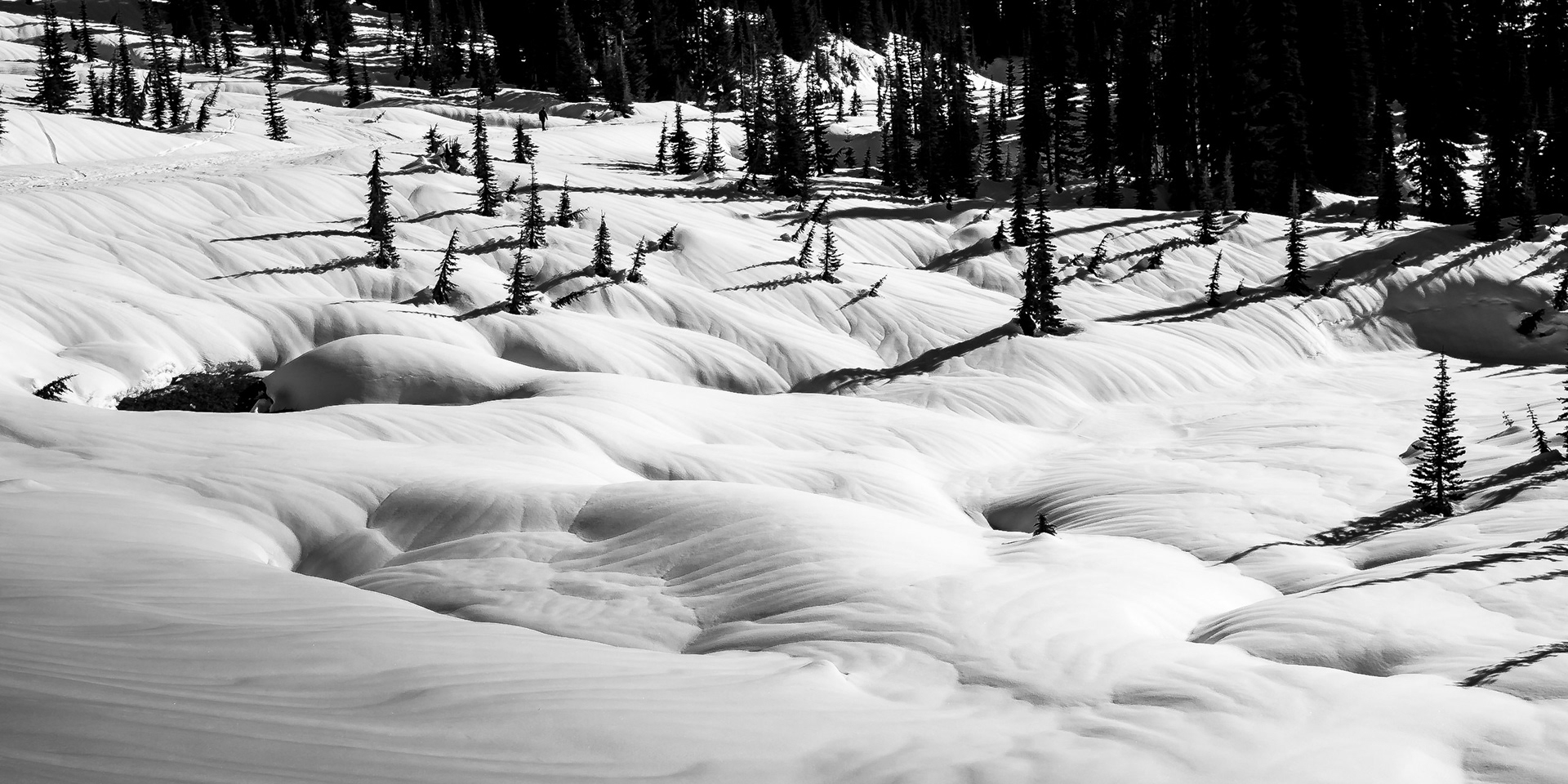Snow Moguls, Mt Rainier