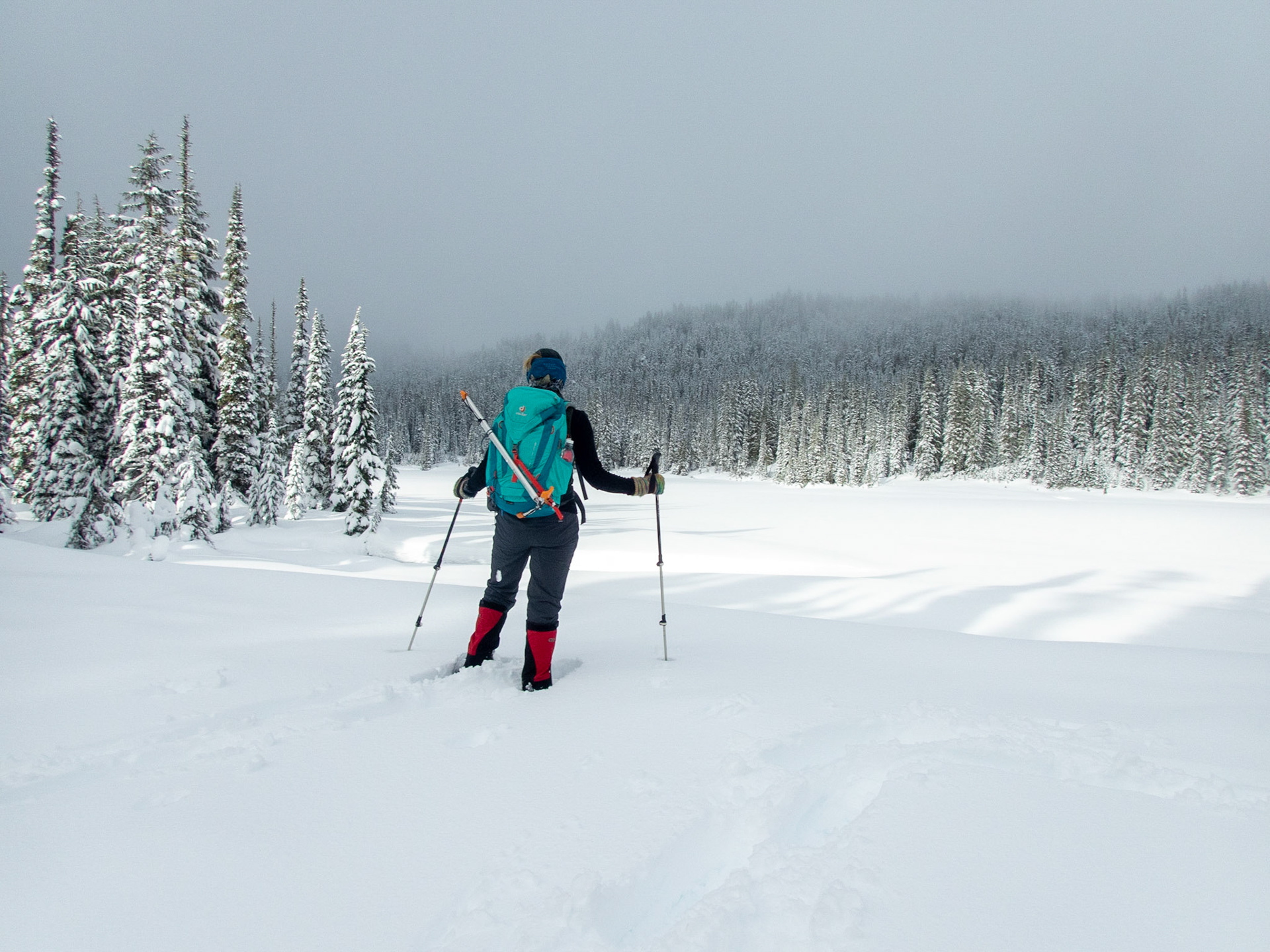 No Reflection Lake, Mt Rainier