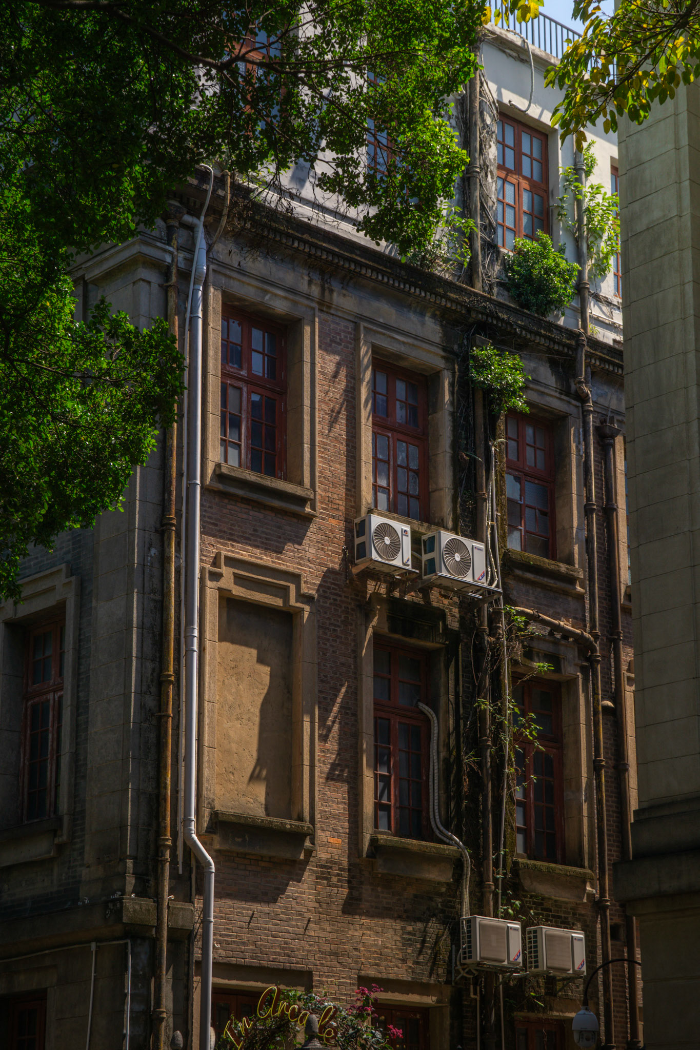 Verfallene Schönheit