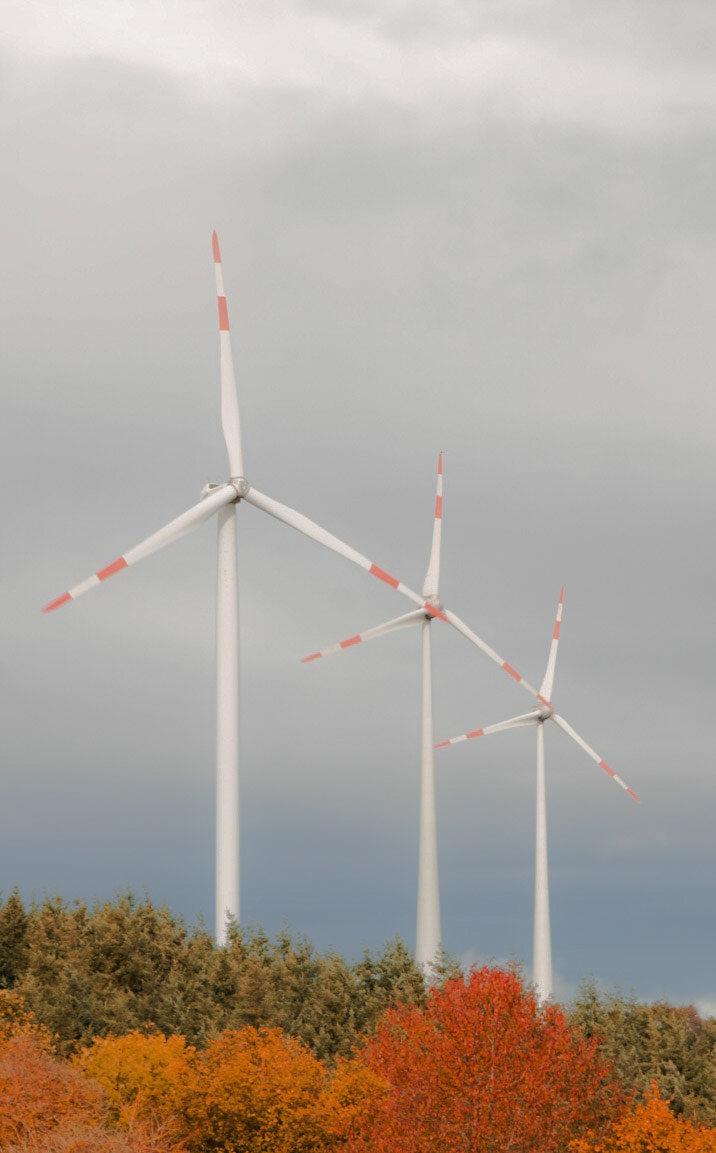 Tanz der Rotoren, Flüstern der Felder