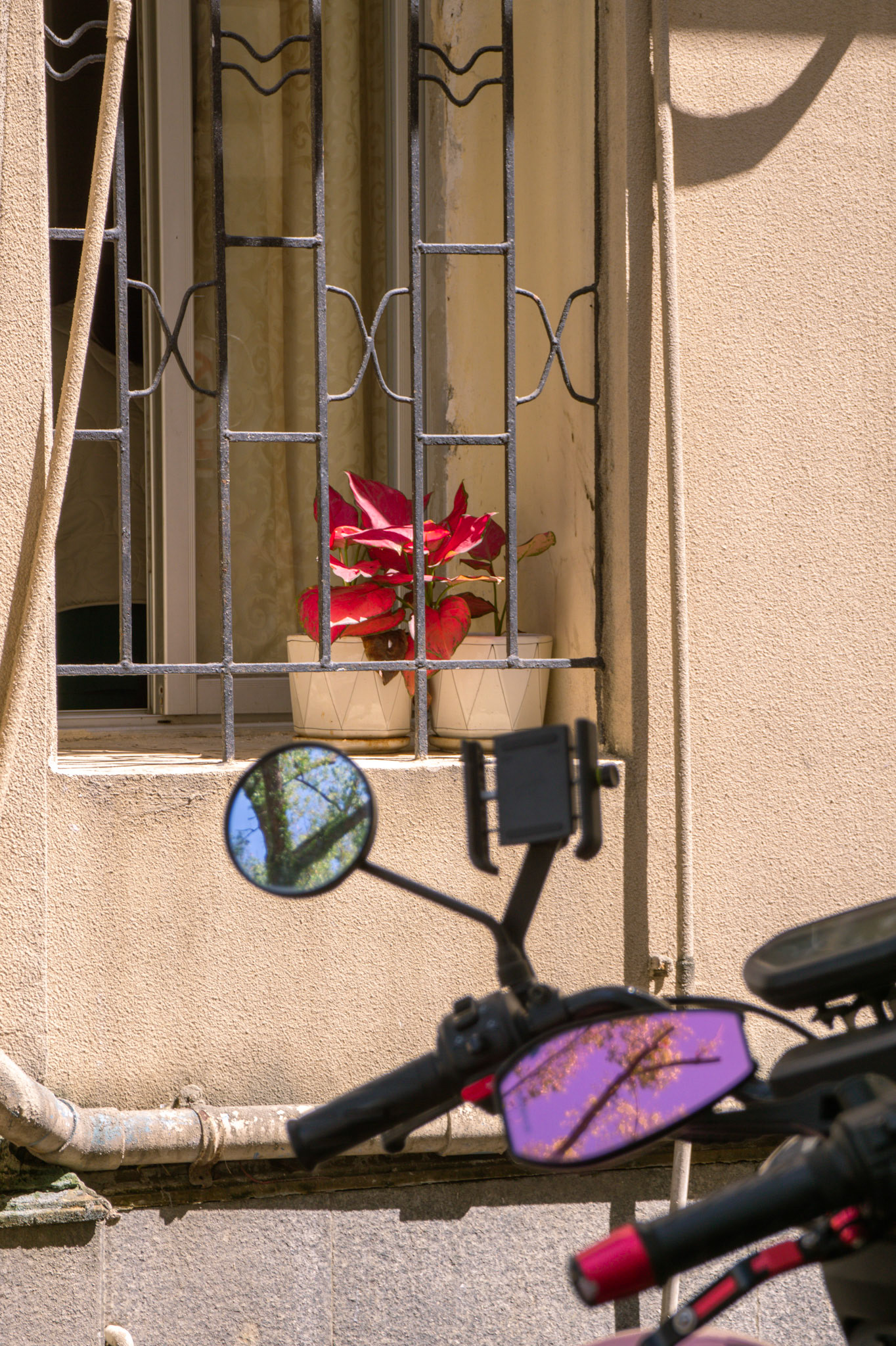 Zwei Spielzeuge und eine Blume im Fenster