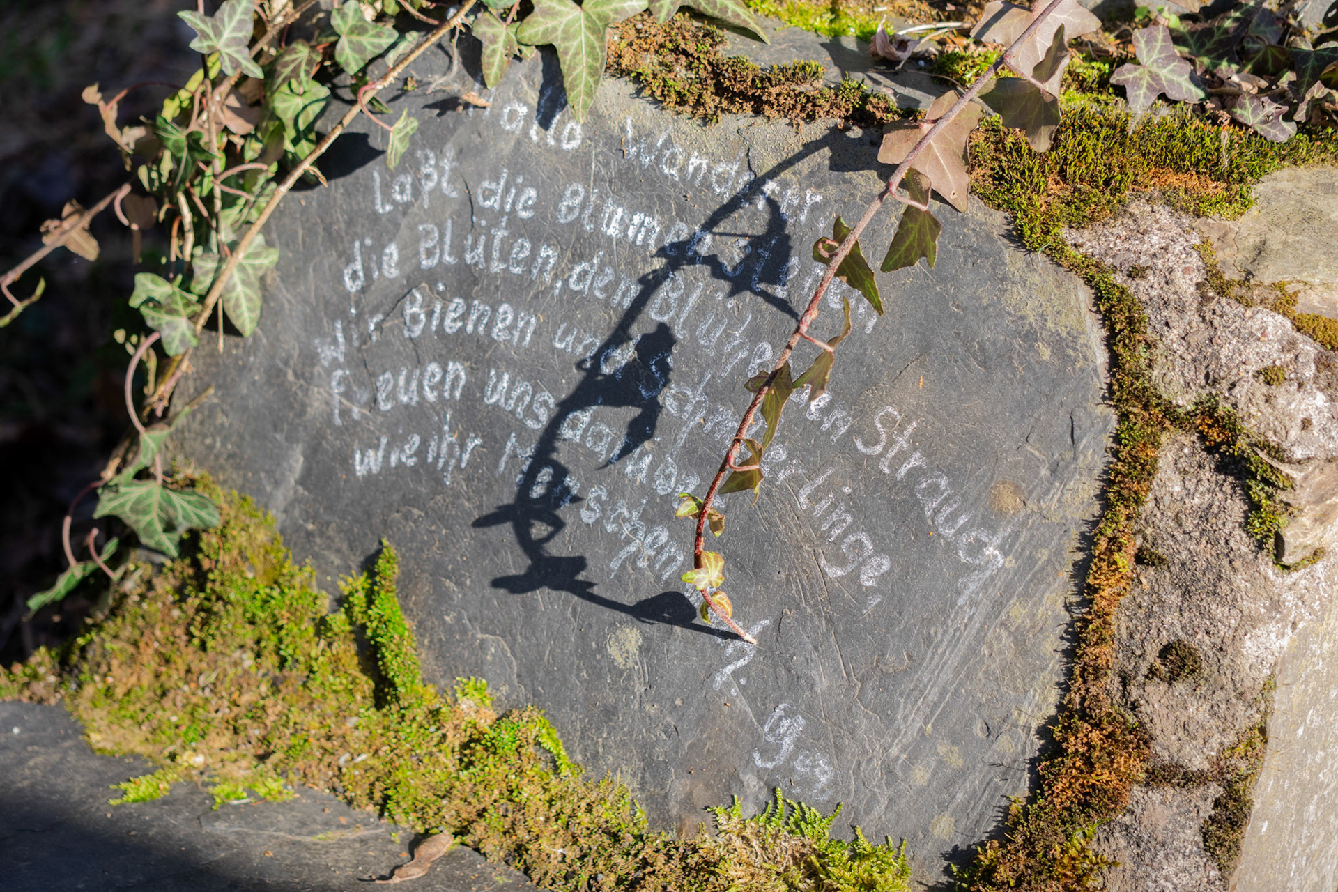 Worte im Stein – still und tief wie ein Gebe