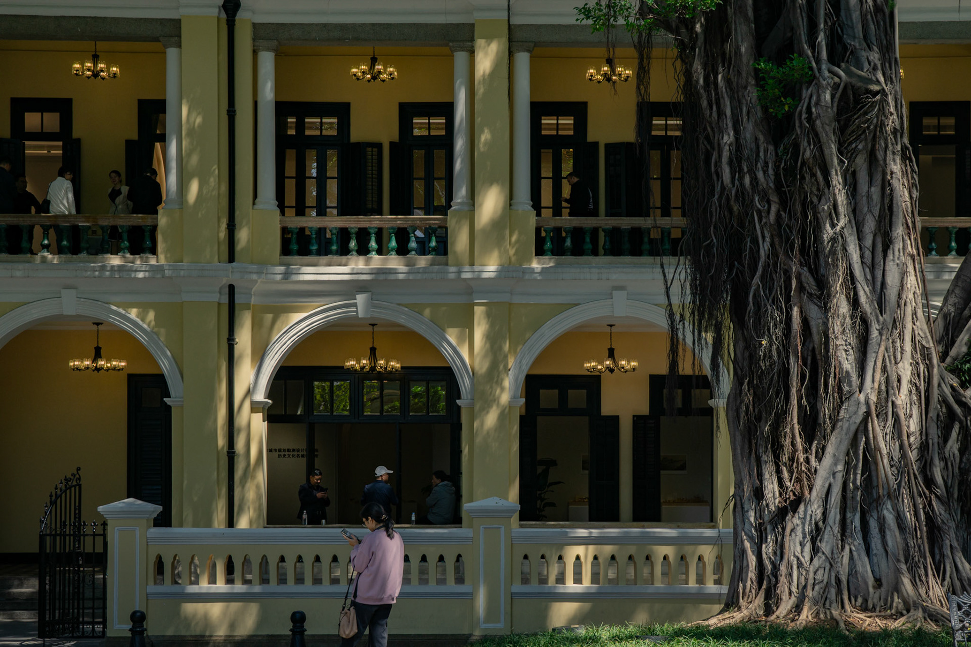 Ein monumentaler Baum verschmilzt mit dem Hof