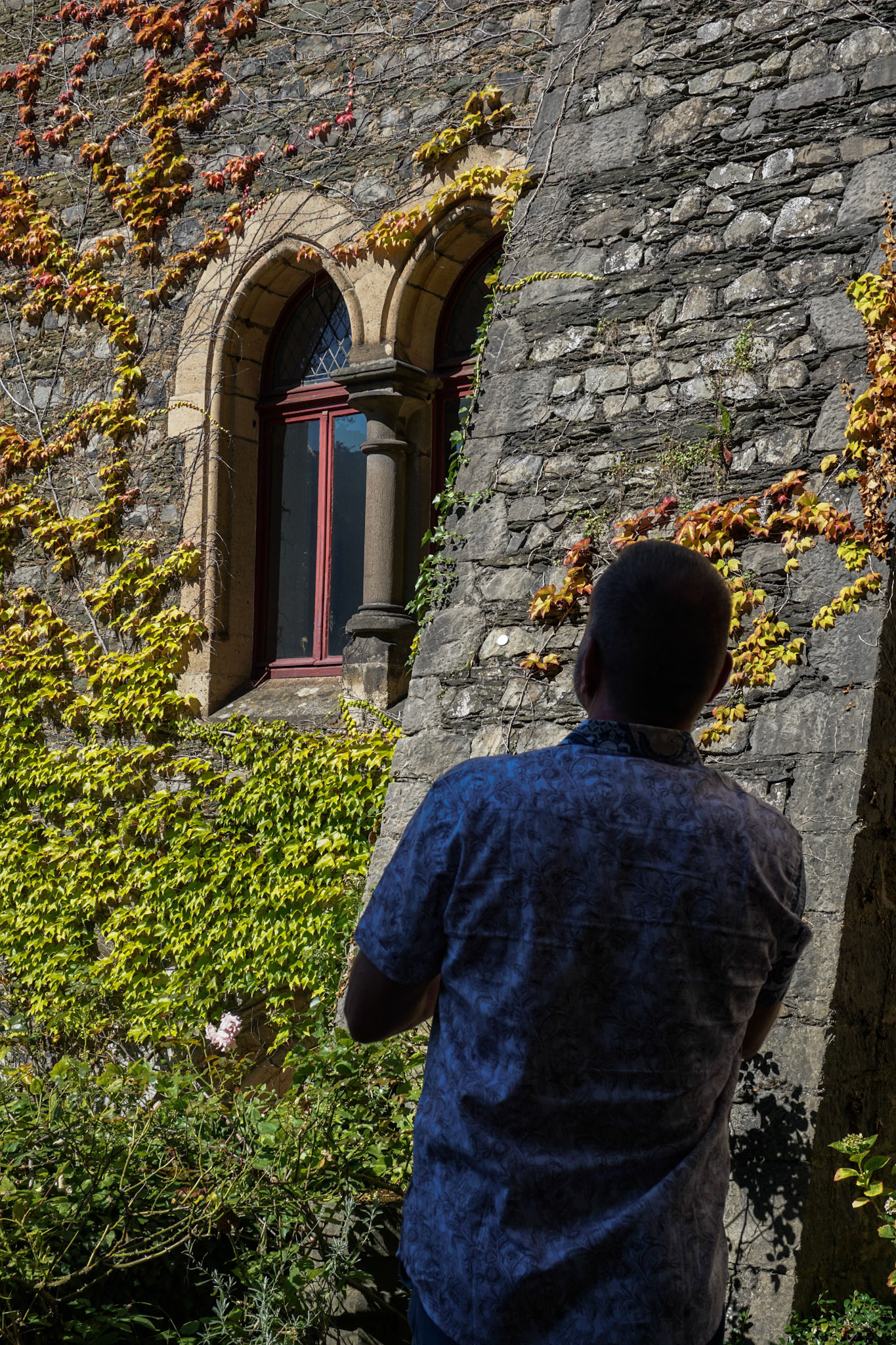 Neugier trifft Geschichte – in Farbe und Form