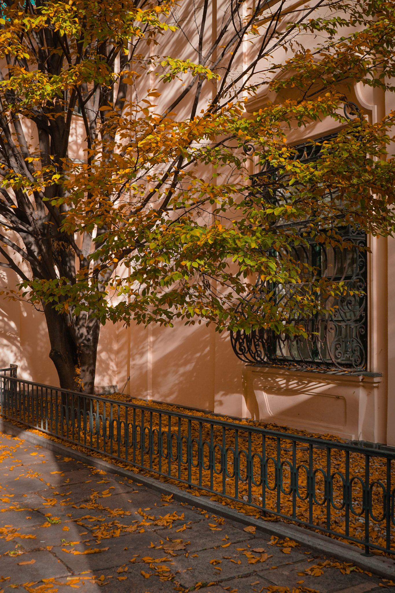 Herbstfarben und Gitterformen – eine malerische Szene