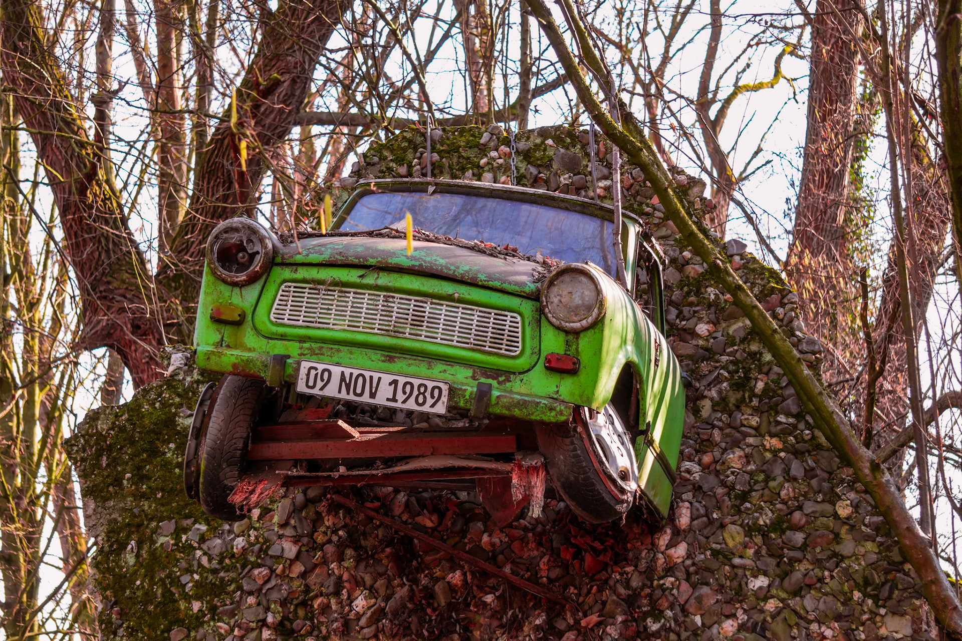 Ein grüner Käfer, eingewachsen – vom Auto zum Denkmal