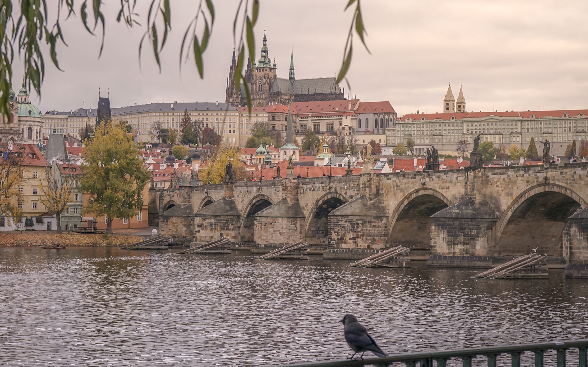 Blick über die Moldau im Morgengrauen