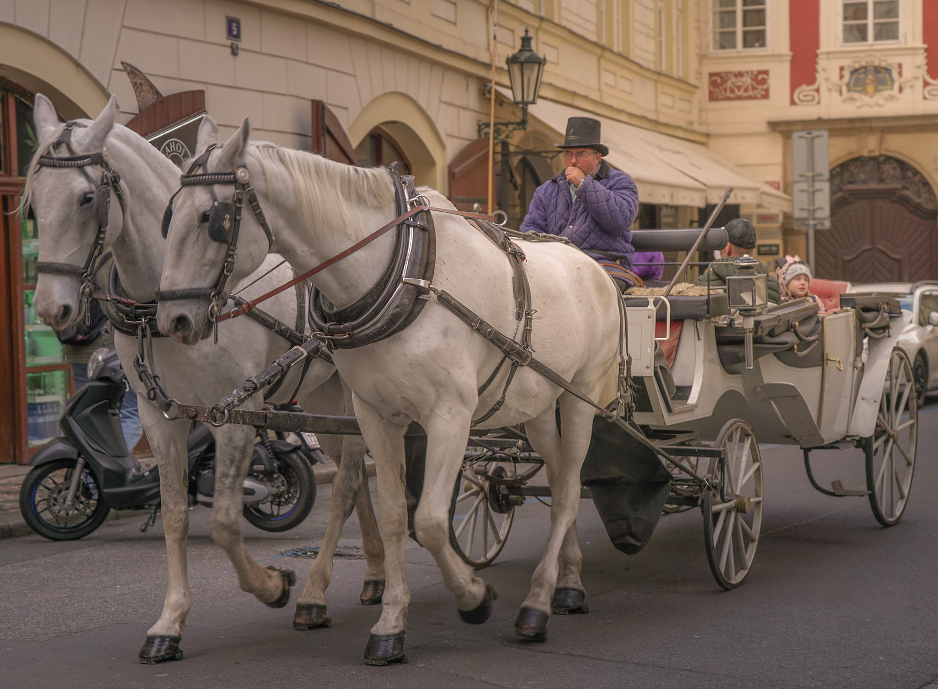Pferdekutsche im Stadtbild