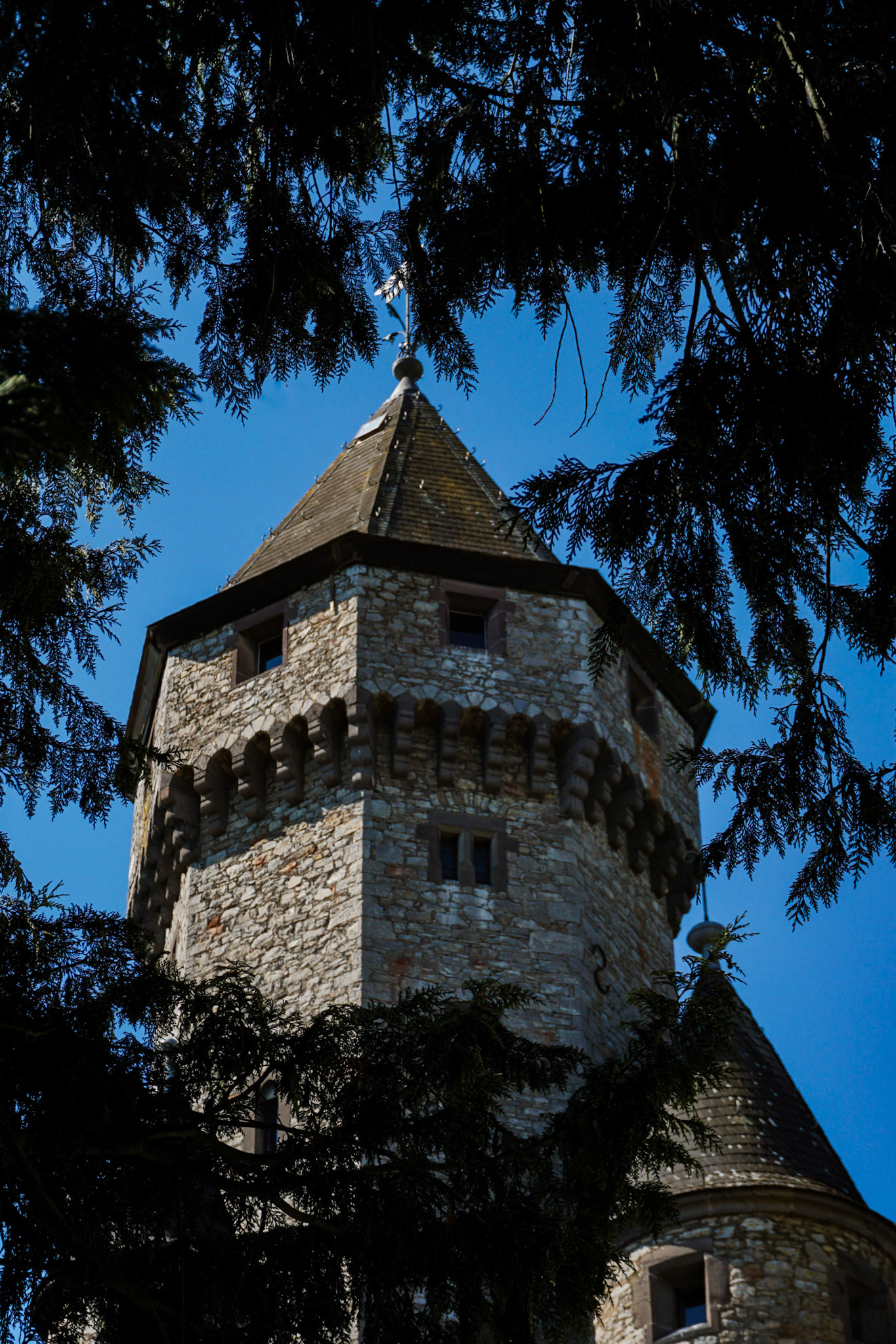 Zwischen Licht und Laub erhebt sich der Wehrturm