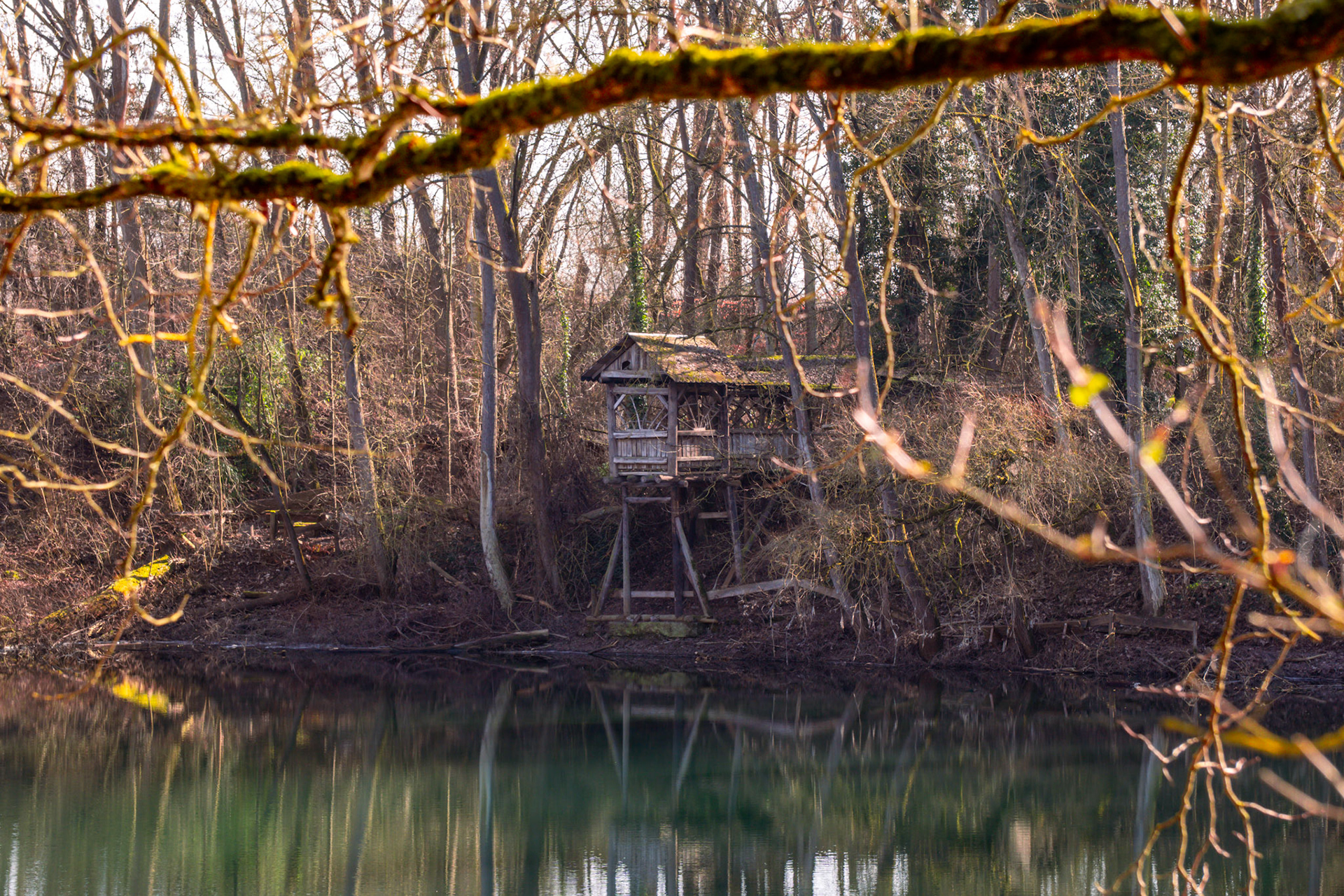 Ein verlassener Teich – von Ästen umrahmt, von Stille getragen