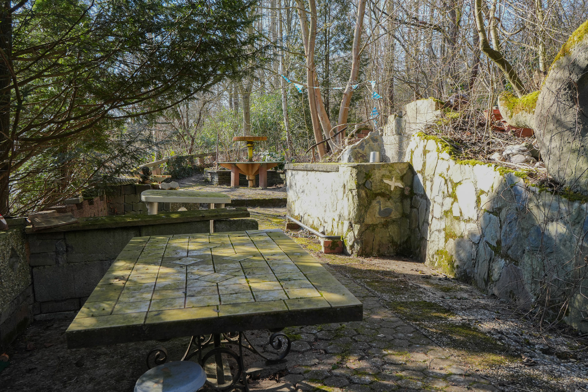 Natur holt sich ihren Raum zurück – friedlich und bestimmt