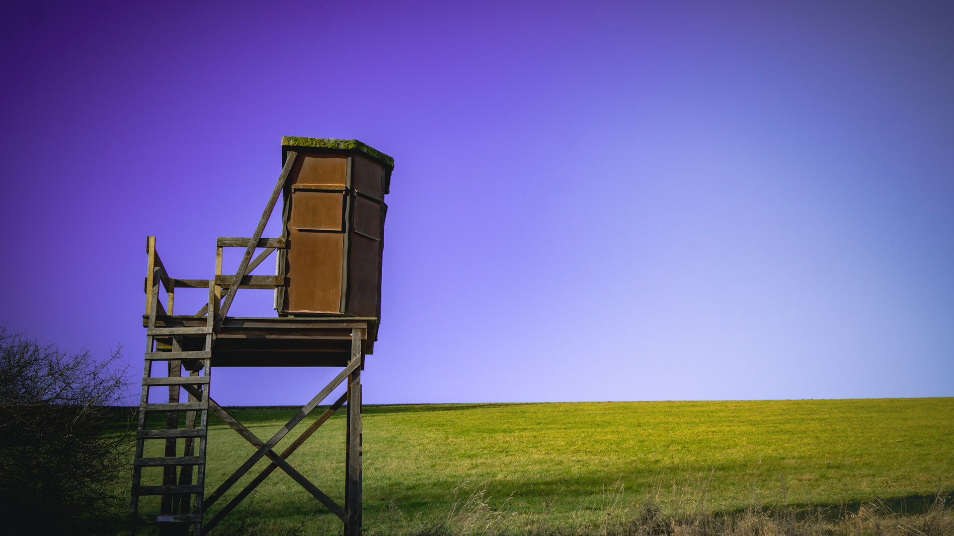 Der letzte Ausblick
