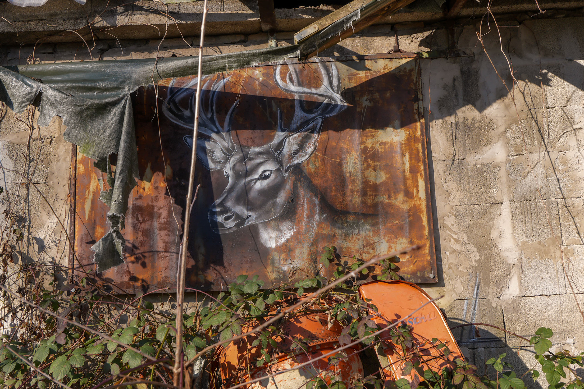 Graffiti auf Wand – stumme Rufe im Nirgendwo