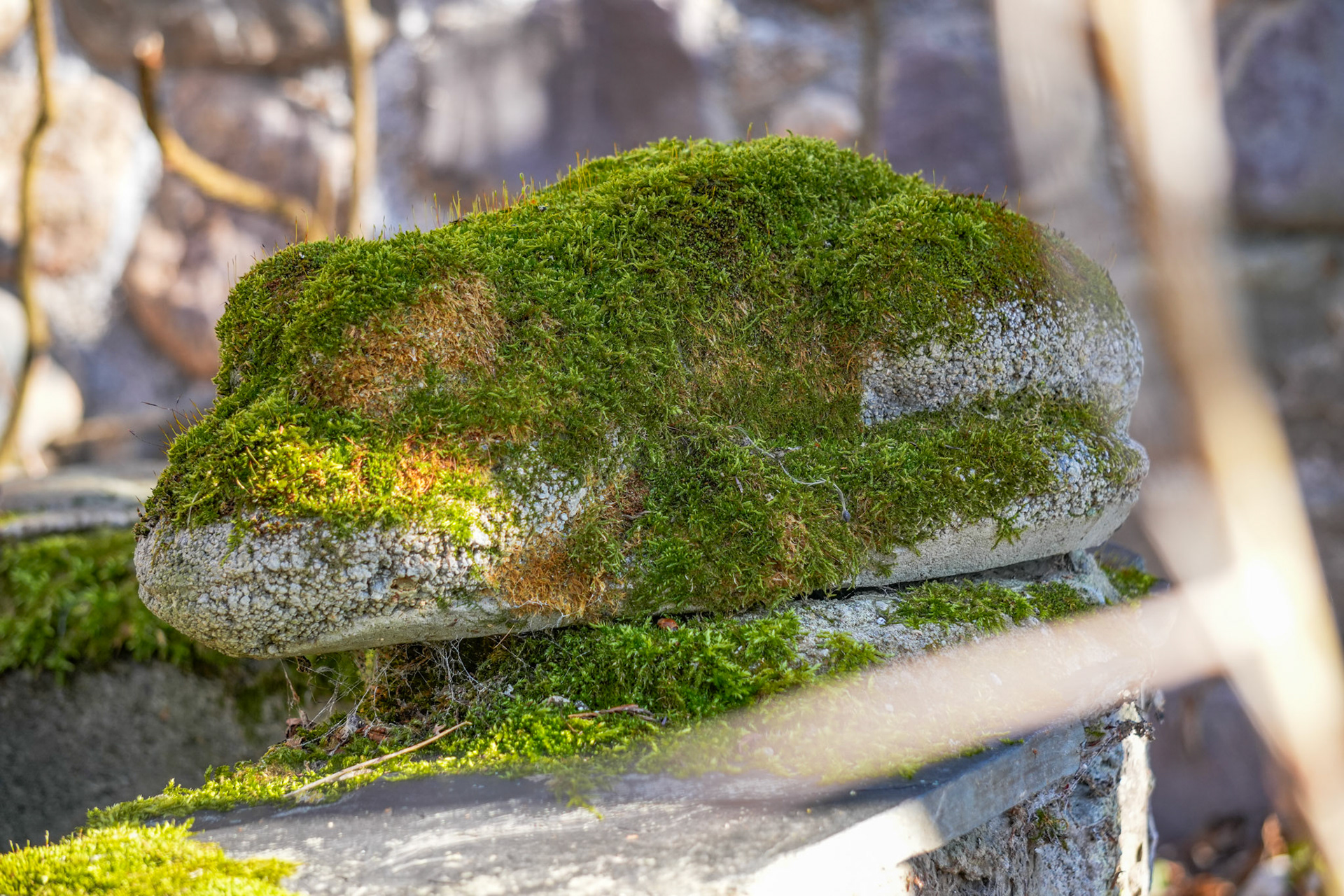 Moos auf Mauerwerk – leises Leben über altem Stein