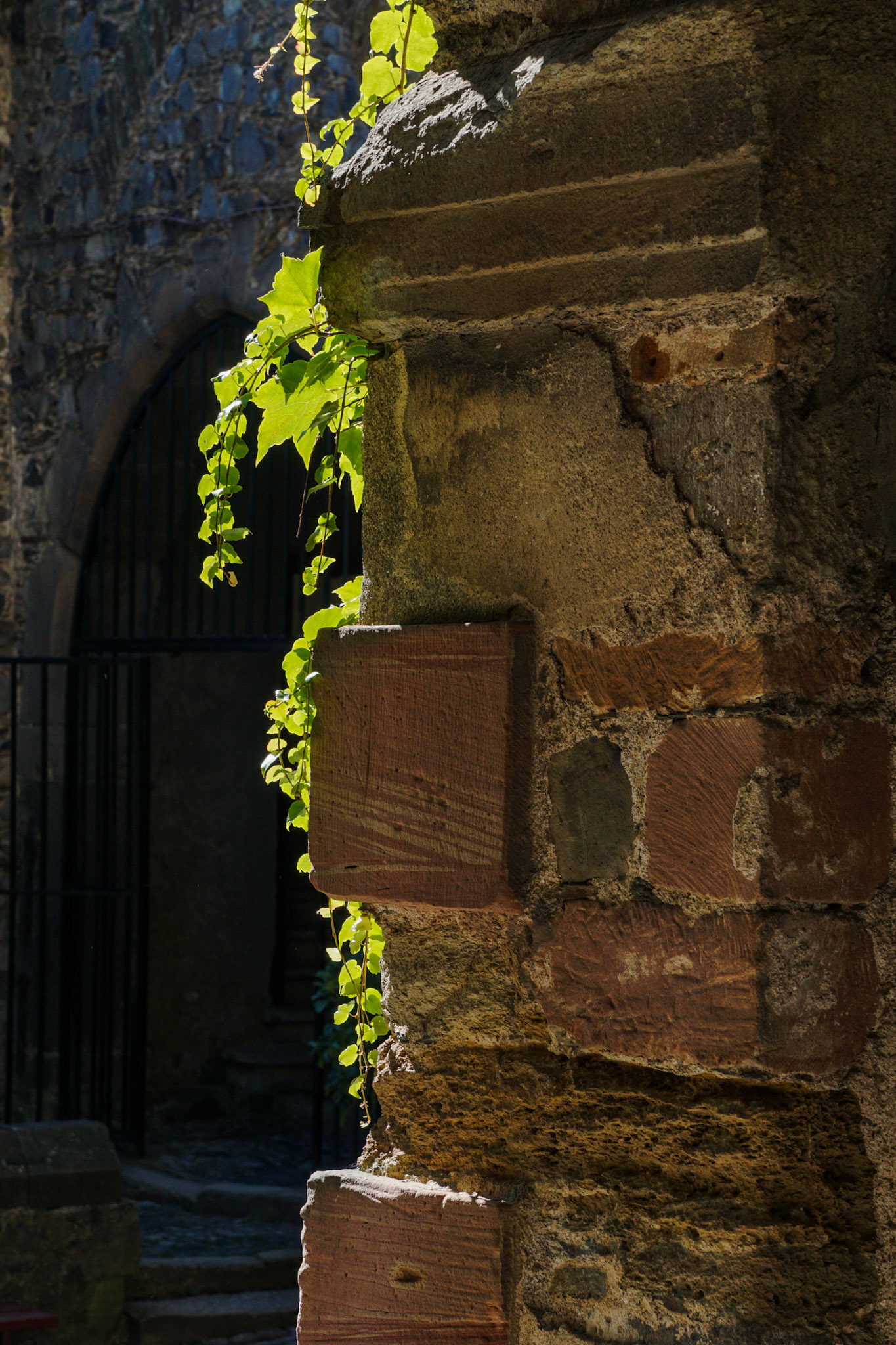 Zeit verwächst mit der Natur