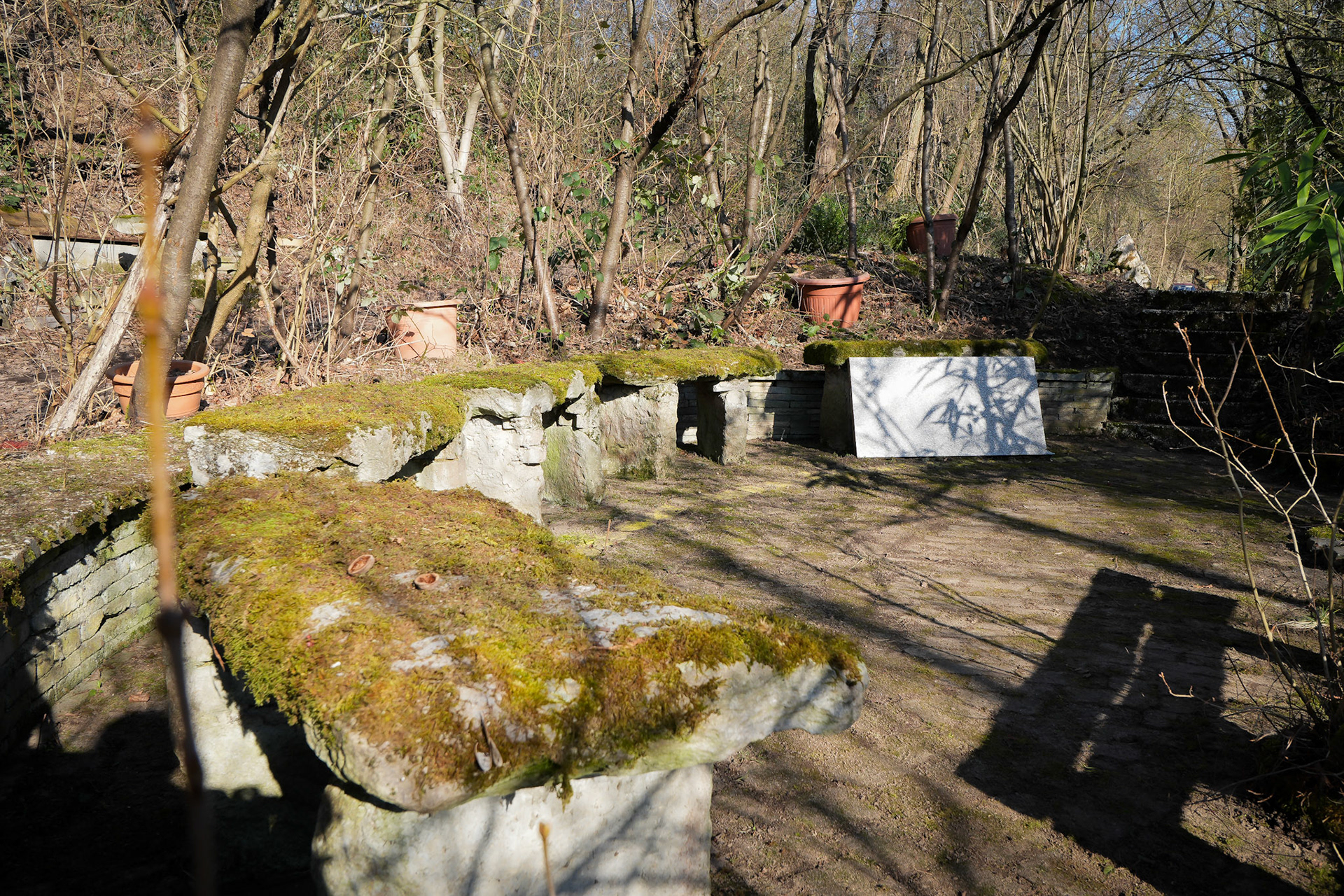 Betonbänke im Wald – Gespräche, die einst stattfanden