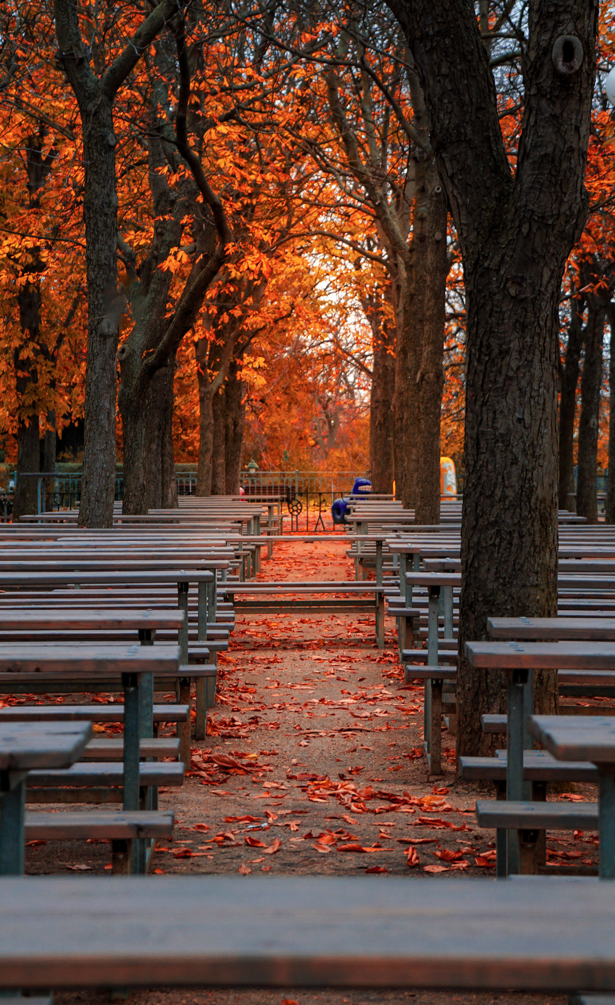 Parkbank im Blättergold