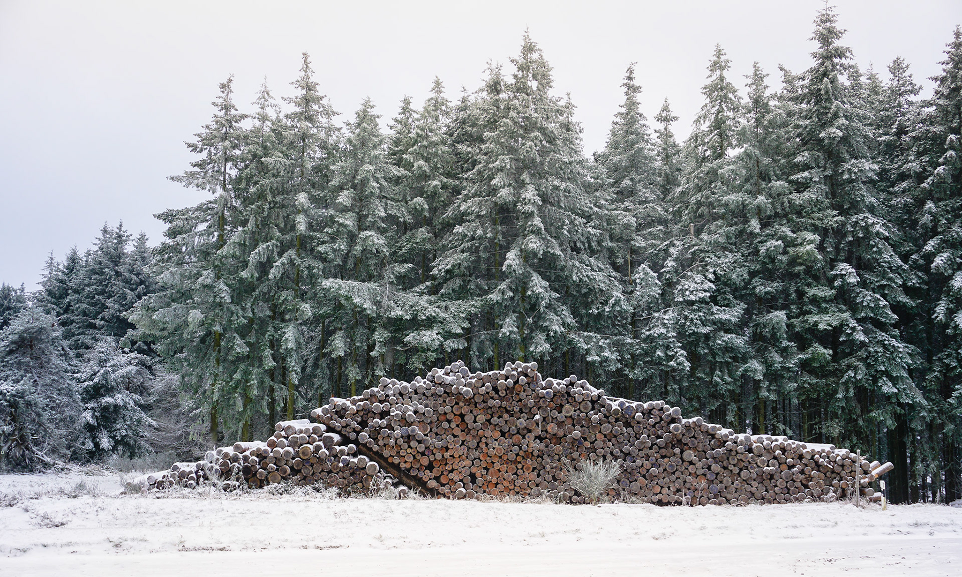 Zwischen Holz und Winterruhe