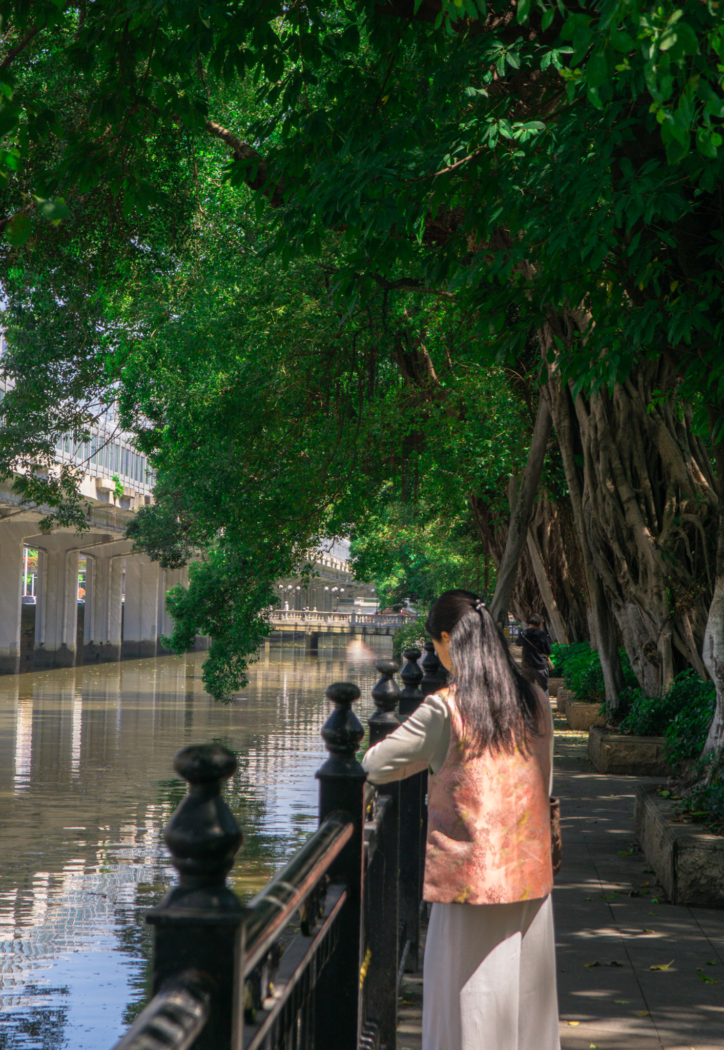 Leben unter alten Bäumen