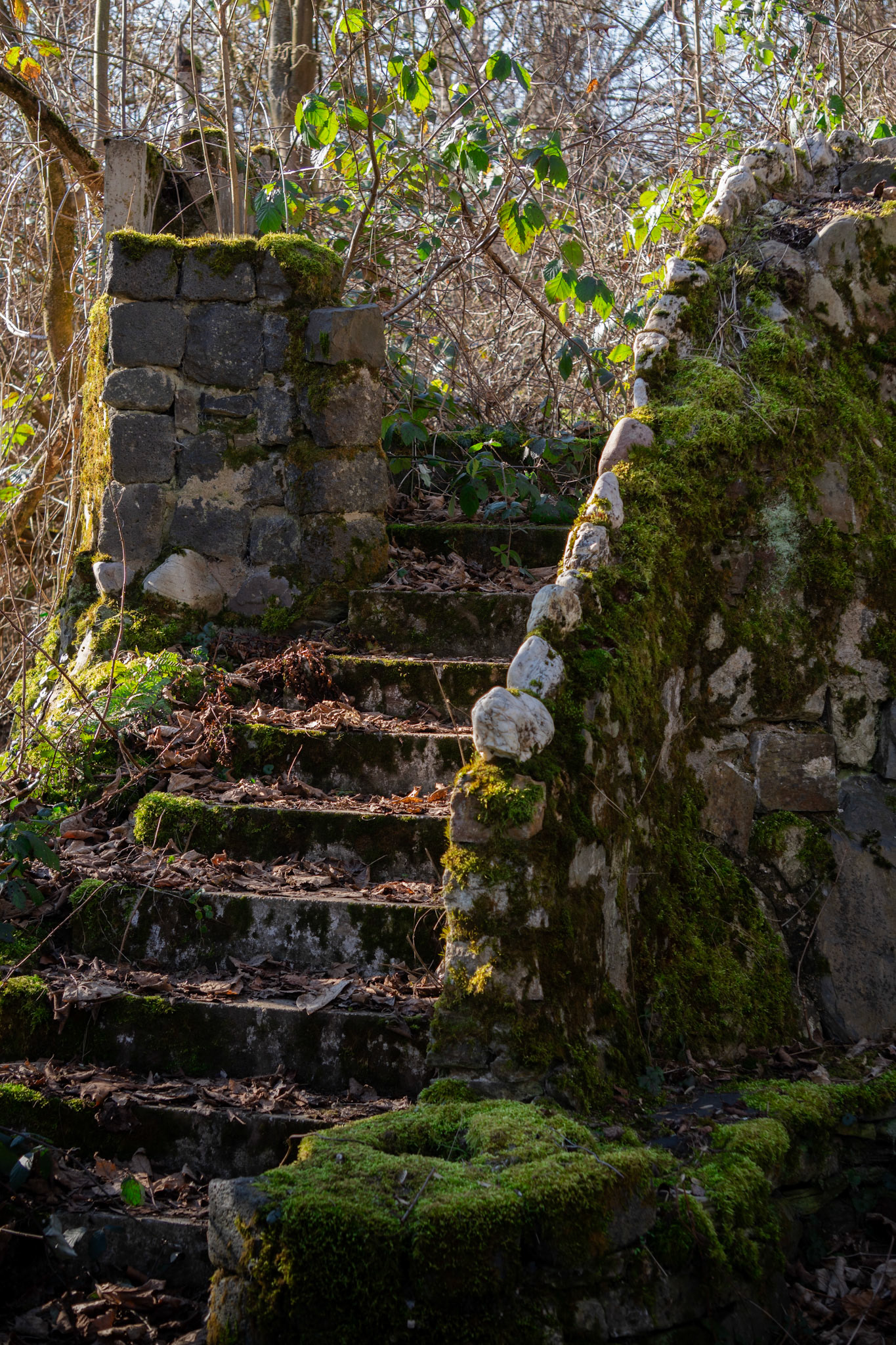 Verwitterte Stufen führen hinab in eine vergessene Welt