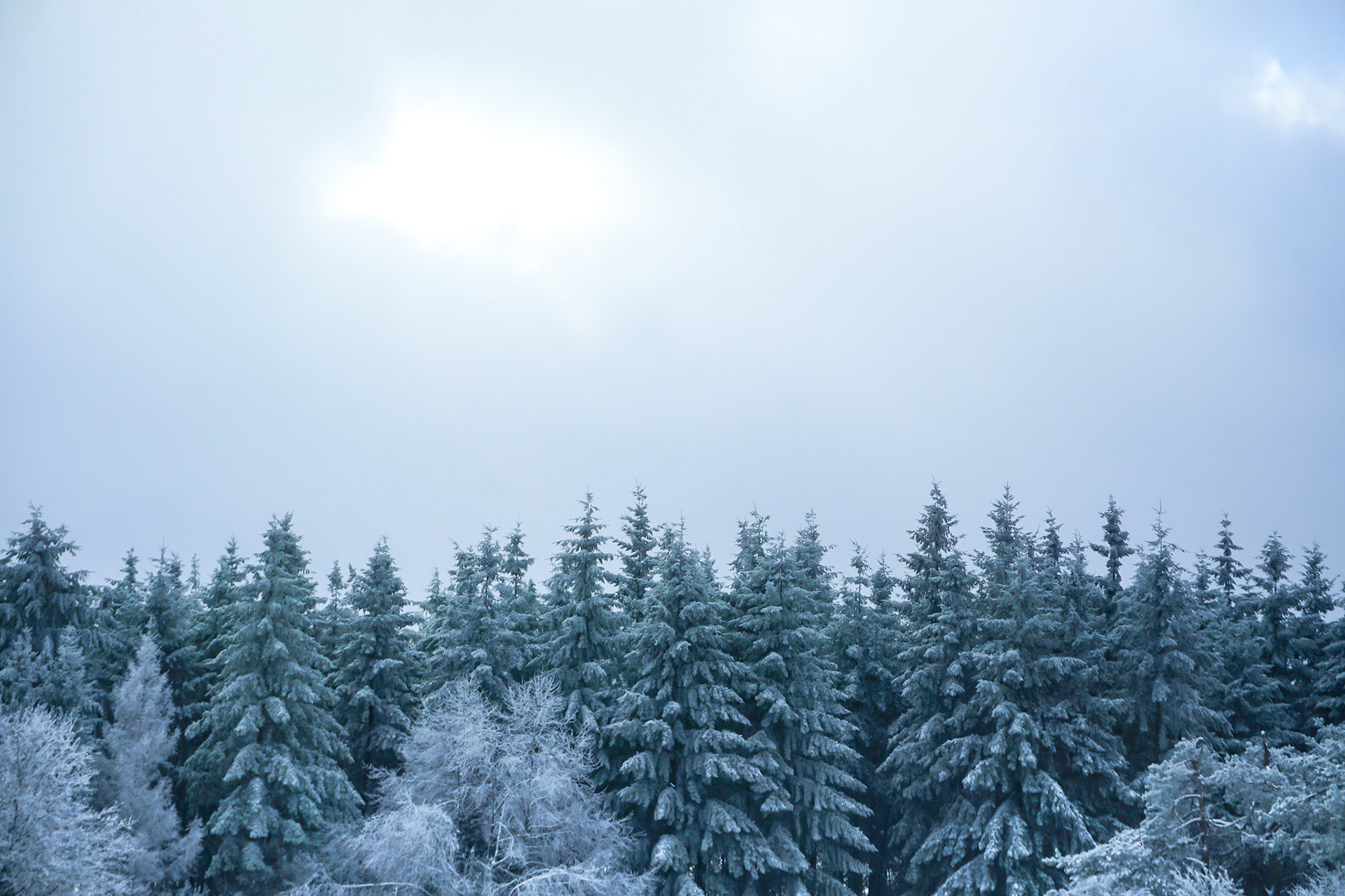 Schnee fällt lautlos