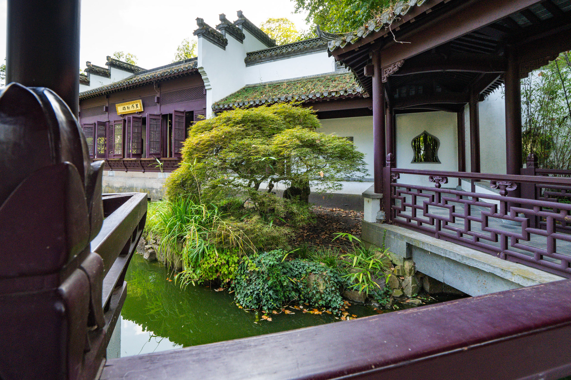 Geordnete Sichtachse zwischen Stein und Pflanzen