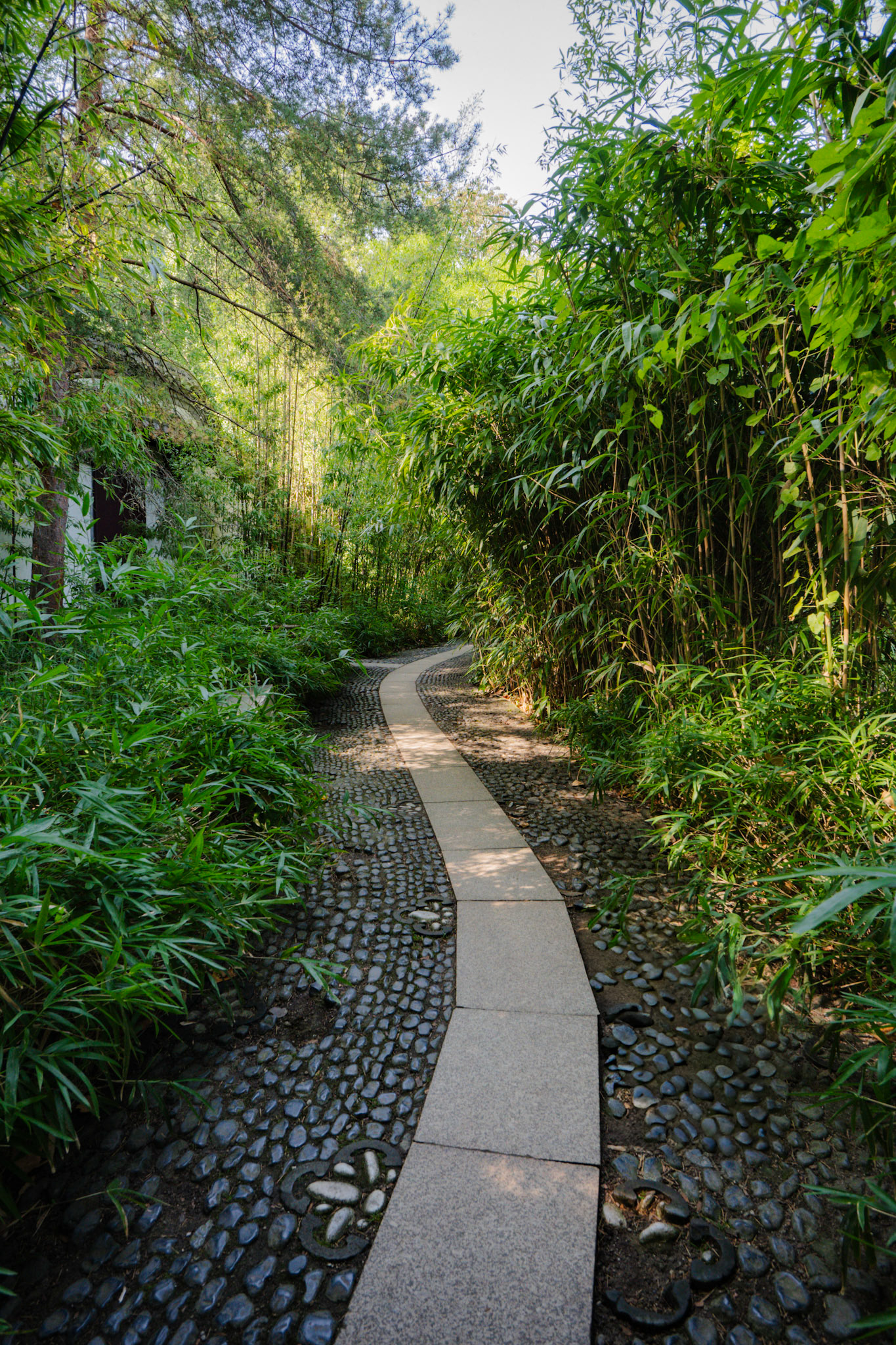 Ein schmaler Weg lädt zum Innehalten ein