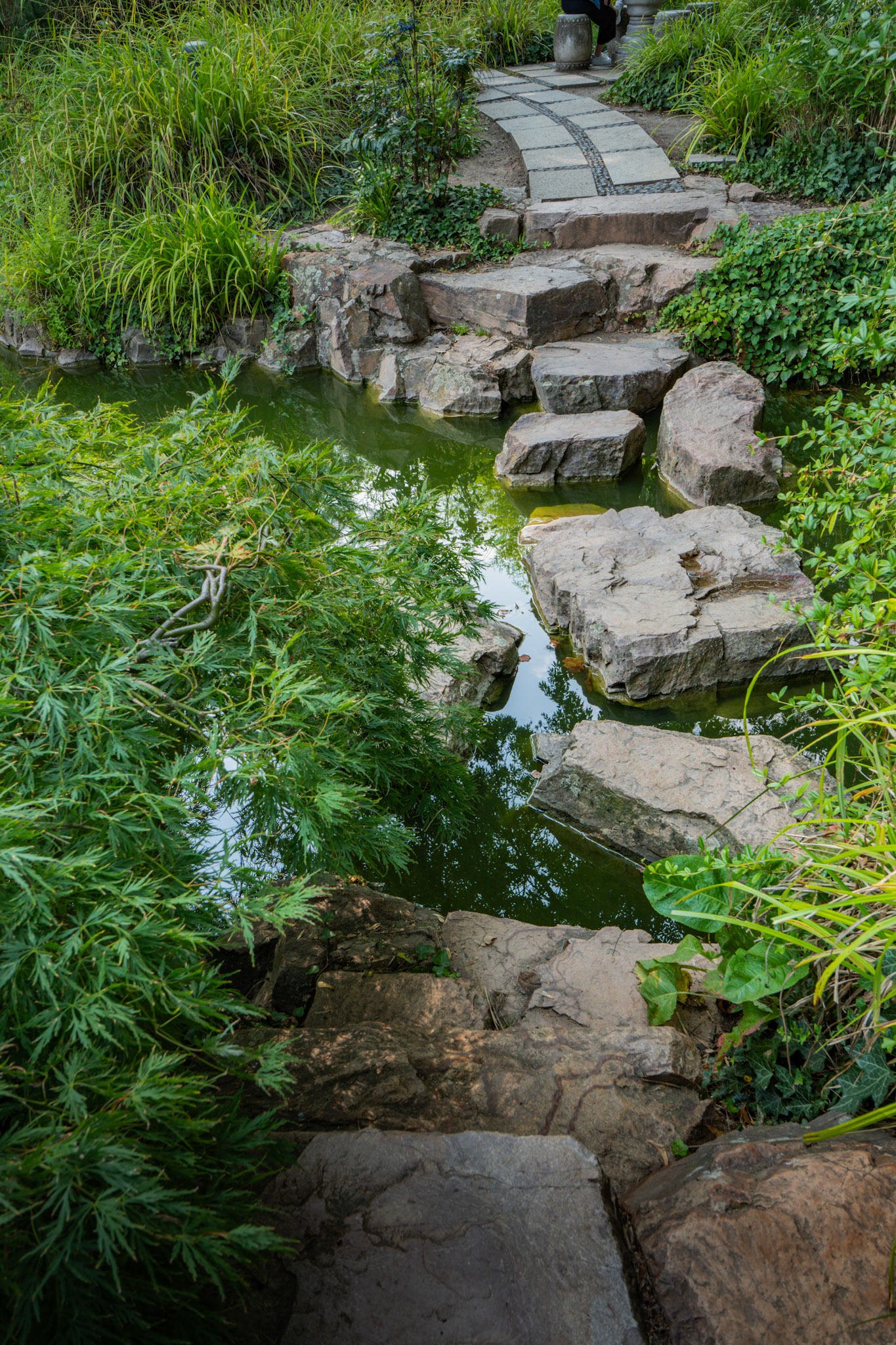 Balance und Bewegung – Schritt für Schritt