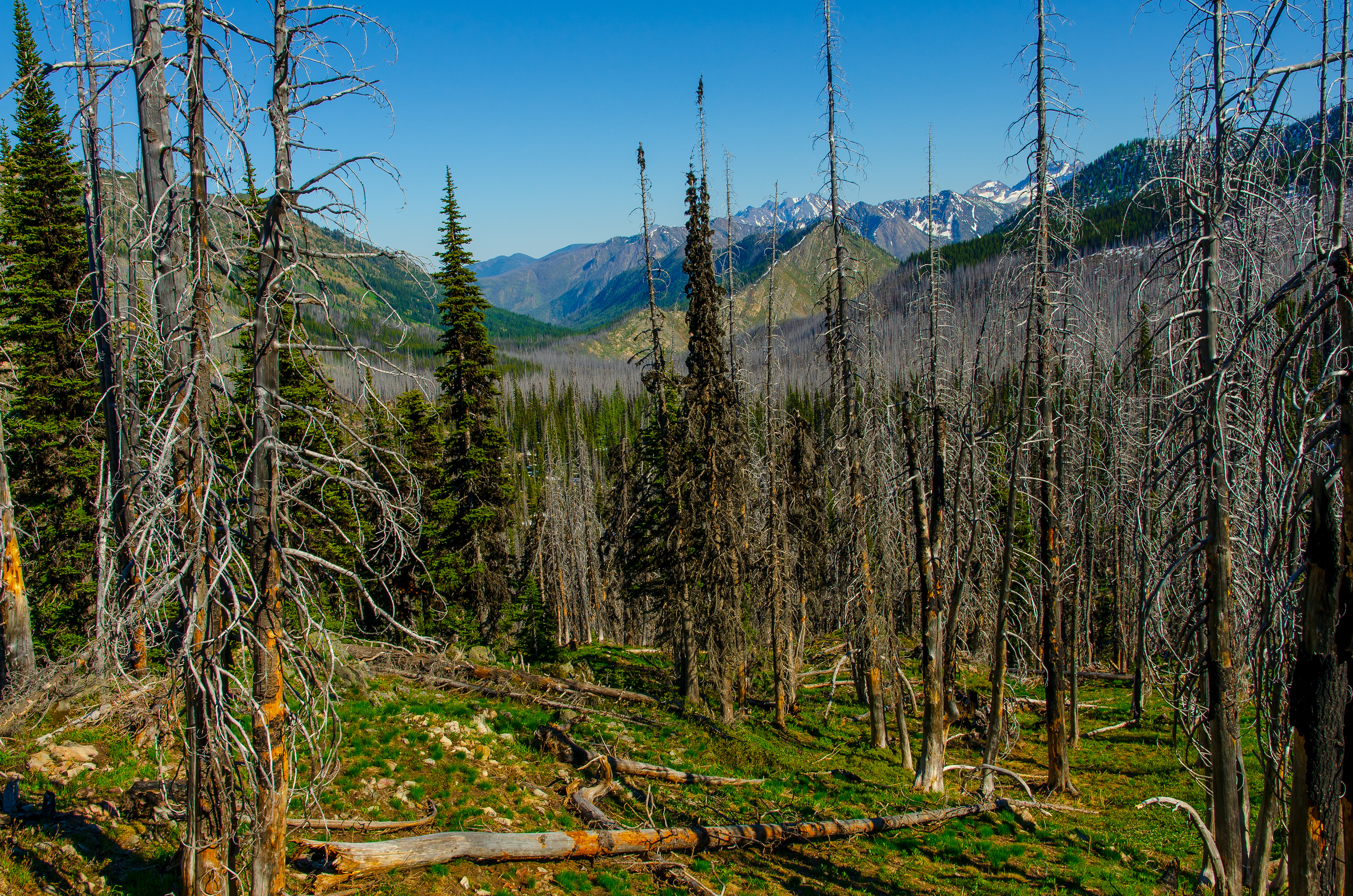 North Cascades, Hart's Pass Road, Methow Valley