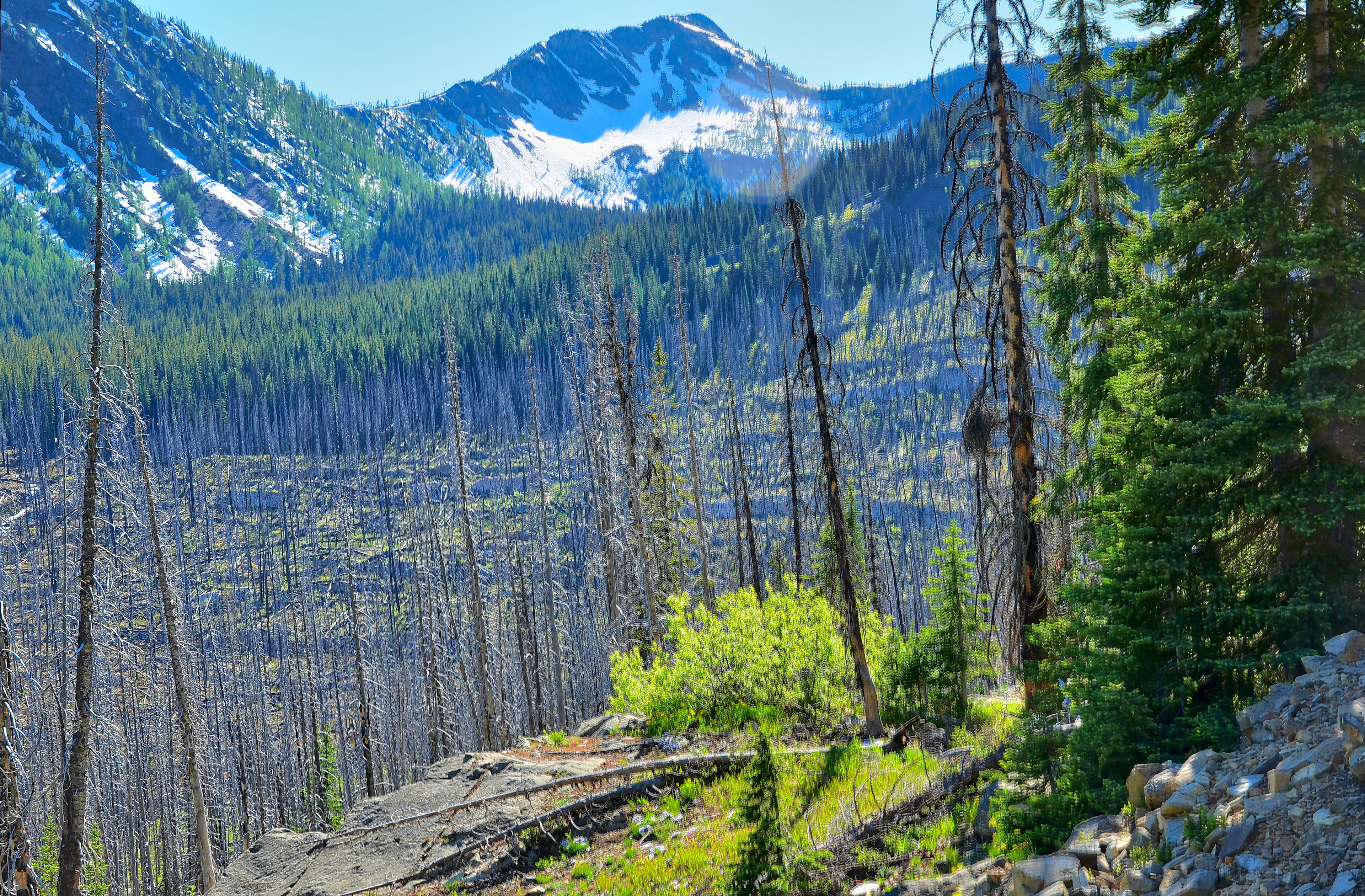 North Cascades, Hart's Pass Road, Methow Valley