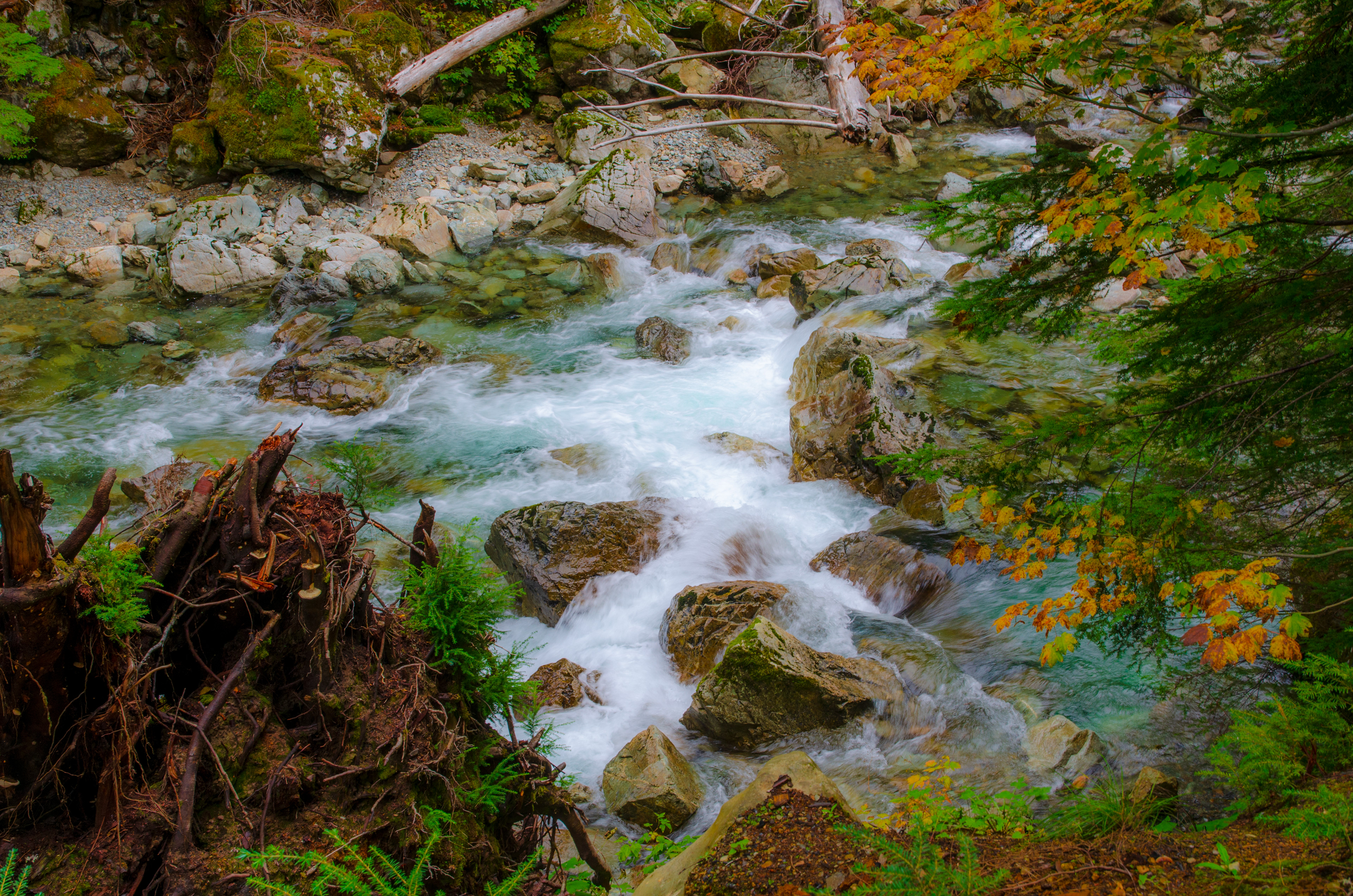 Stillaquamish River, Granite Falls, Cascades, washington, rain forest