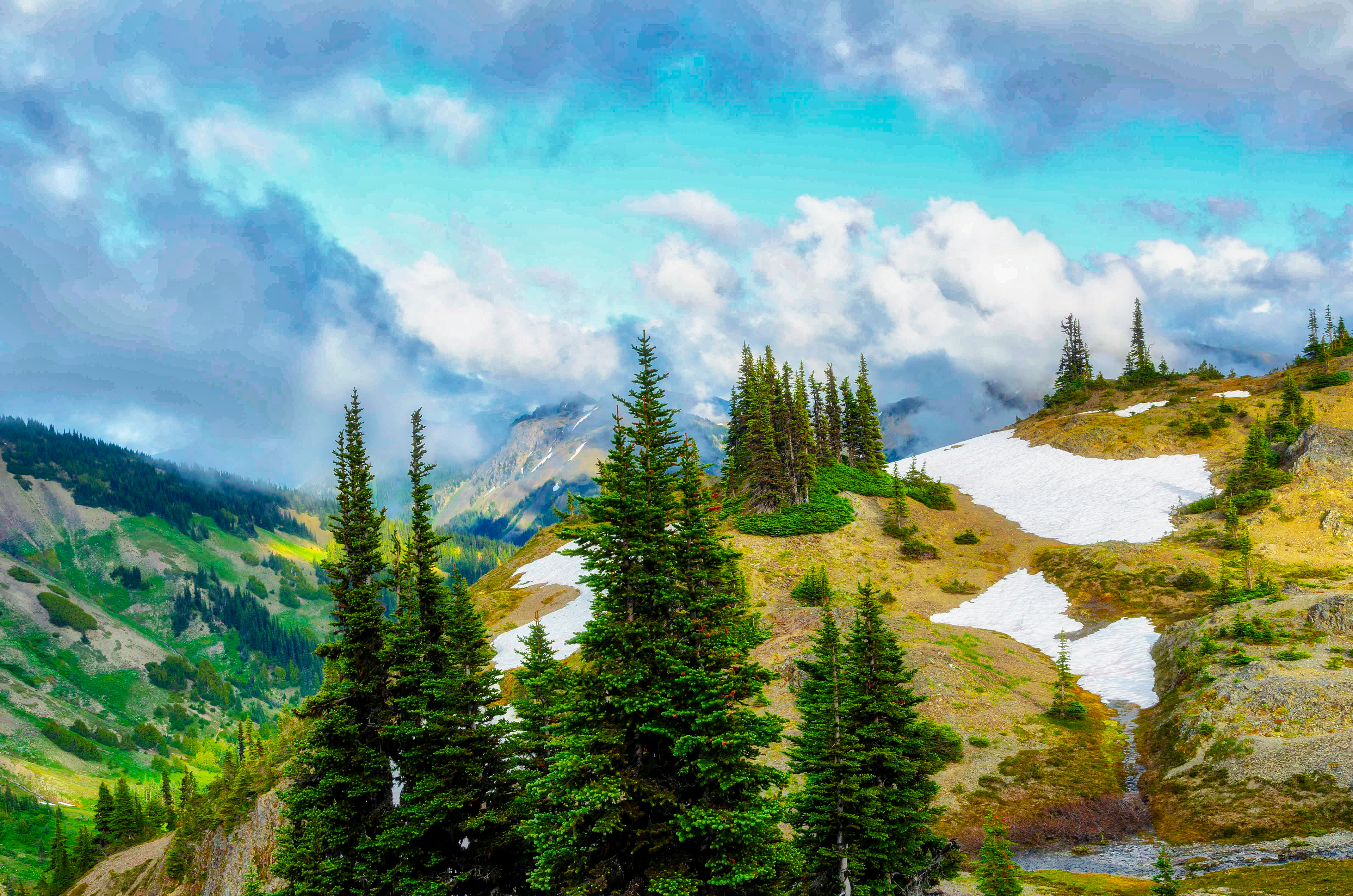 Olympic National Park, Hurricane Ridge, Olympic Mountains, Washington