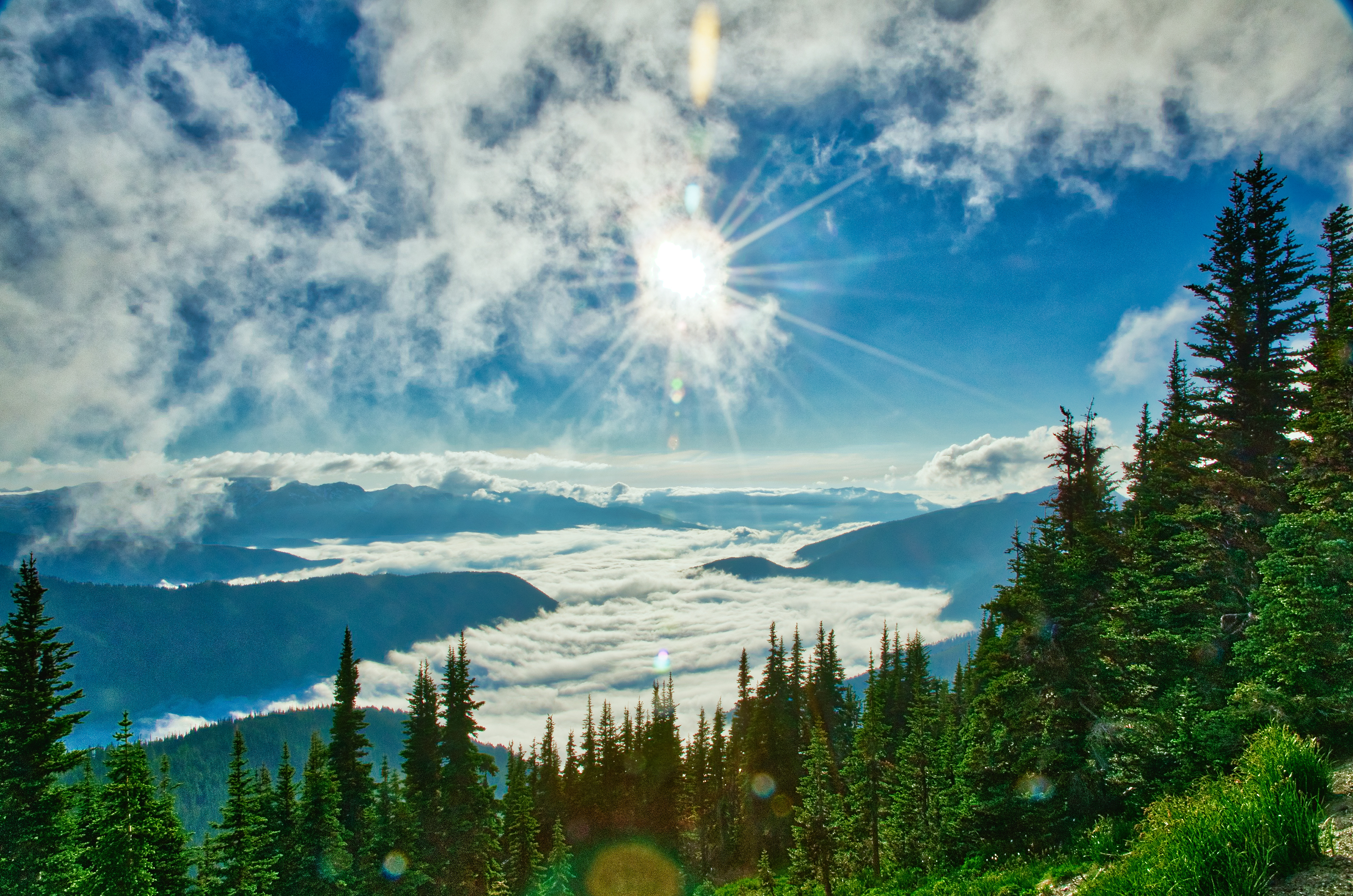 Olympic National Park, Hurricane Ridge, Olympic Mountains, Washington