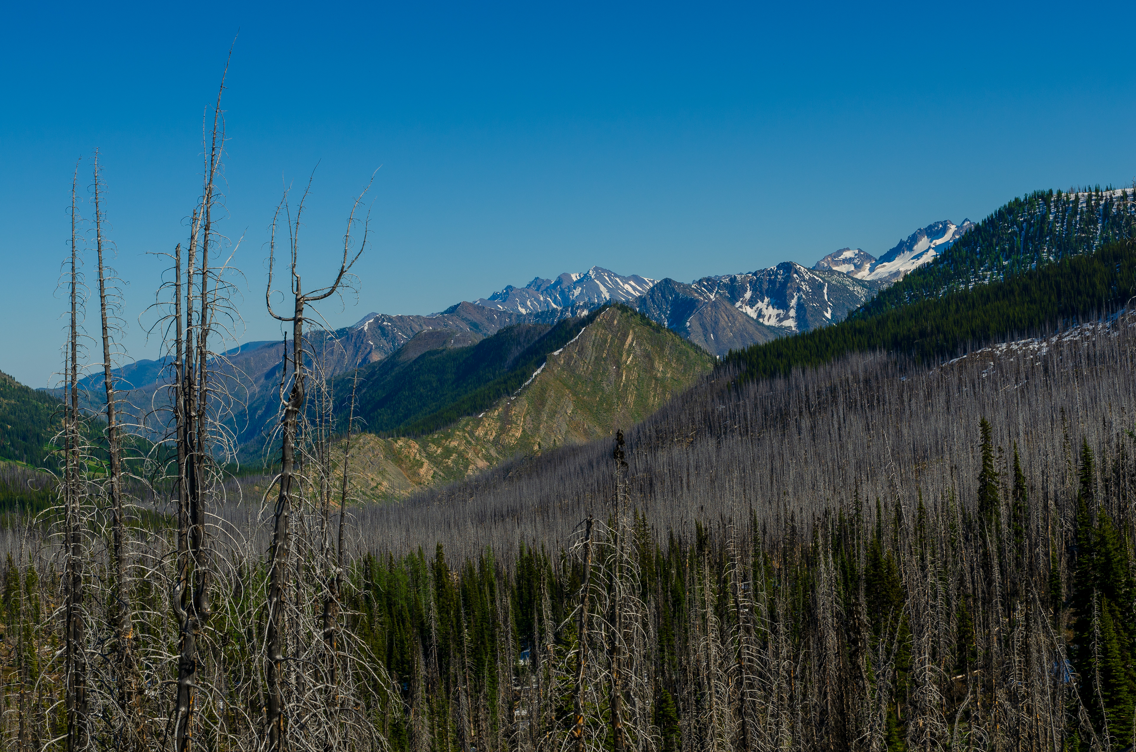 North Cascades, Hart's Pass Road, Methow Valley