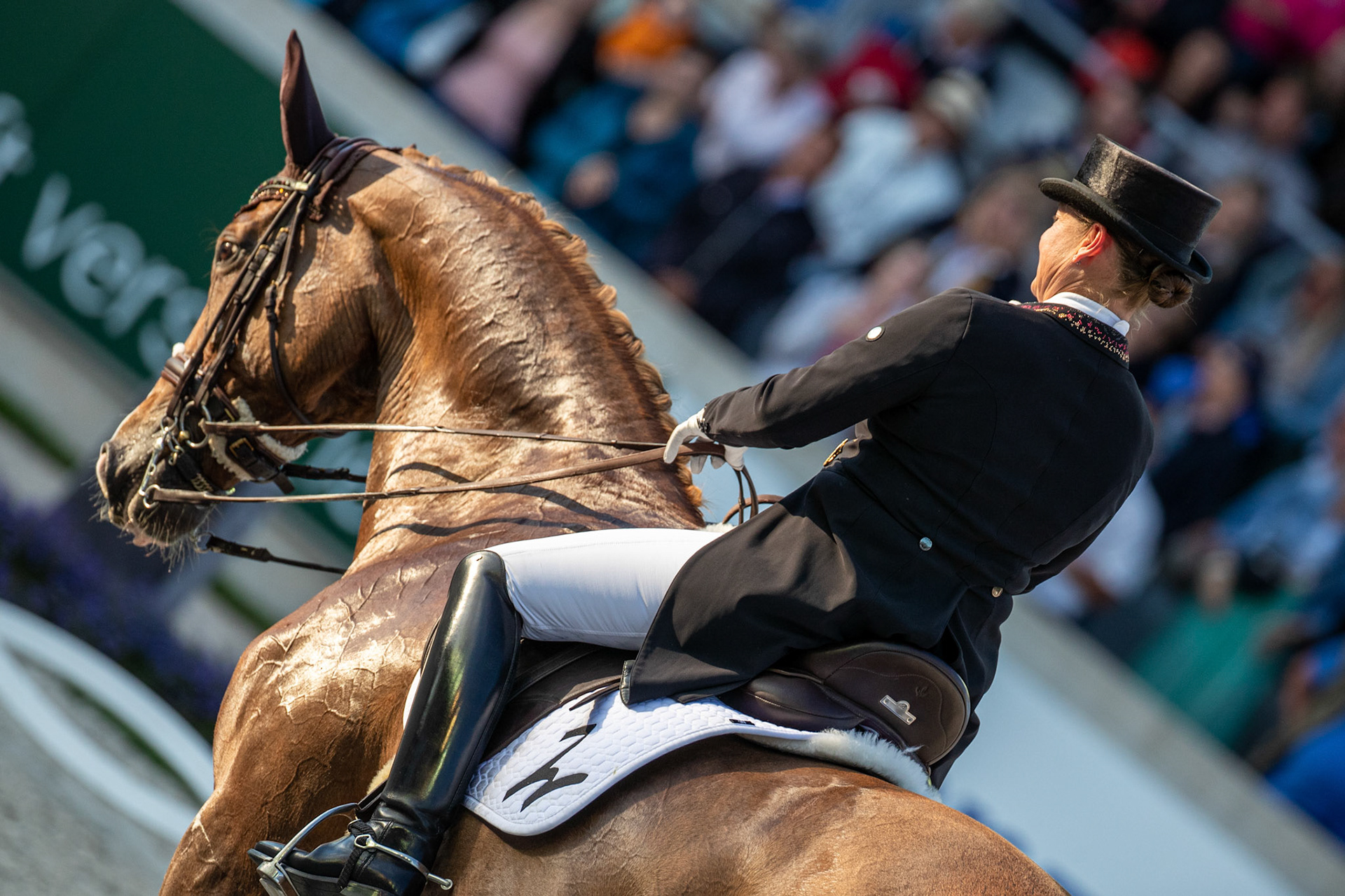 Isabell Werth of Germany on Bella Rose during the farewell of Isabell Werth's horse Bella Rose at the CHIO World Equestrian Festival in Aachen, Germany, 01 July 2022. Since 2014 Bella Rose won multiple medals at World and European Championsships and two medals (silver and gold) at the Tokyo 2020 Olympic Games.